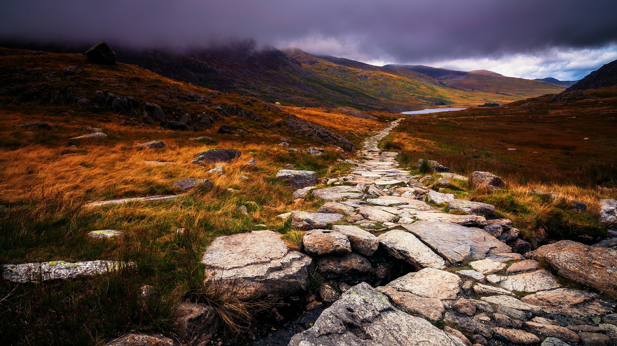 wales great britain peninsula nature autumn stones path fog clouds grass yellow