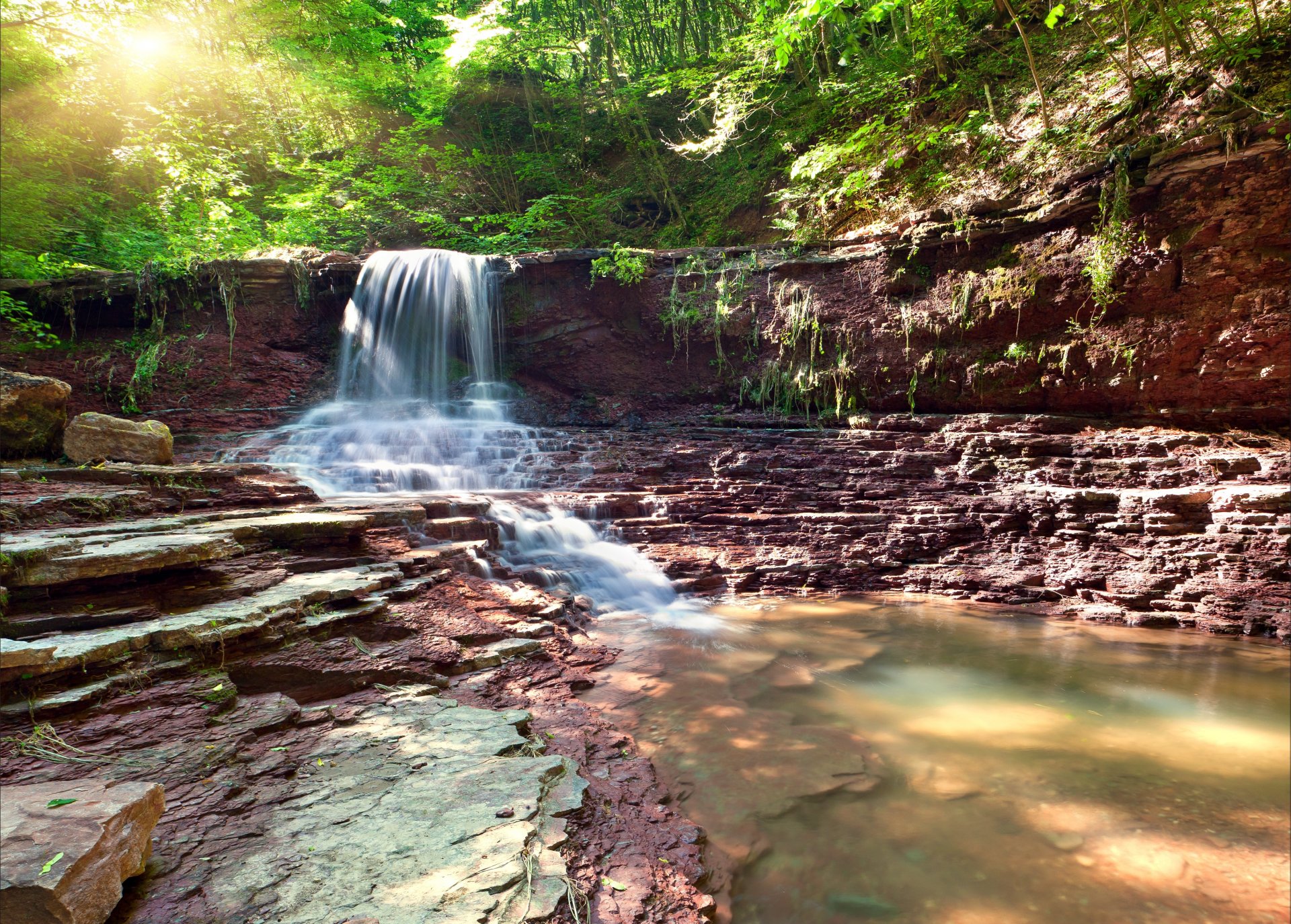 waterfall stones tree forest