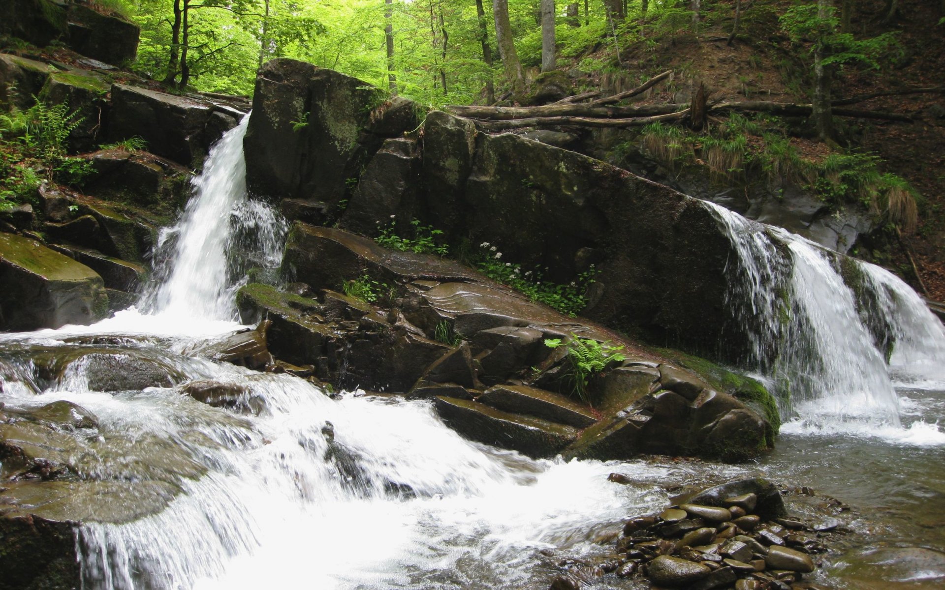 ukraine transkarpatien wasserfall nachtigall