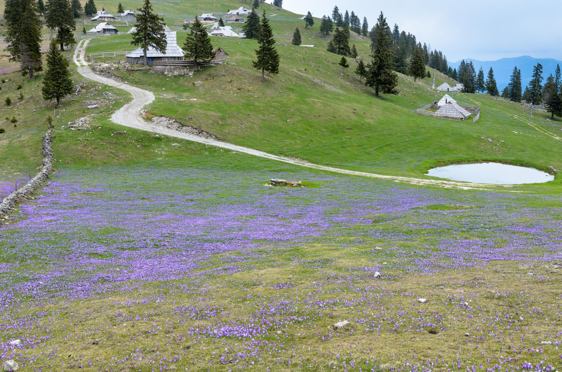 slovénie maisons fleurs