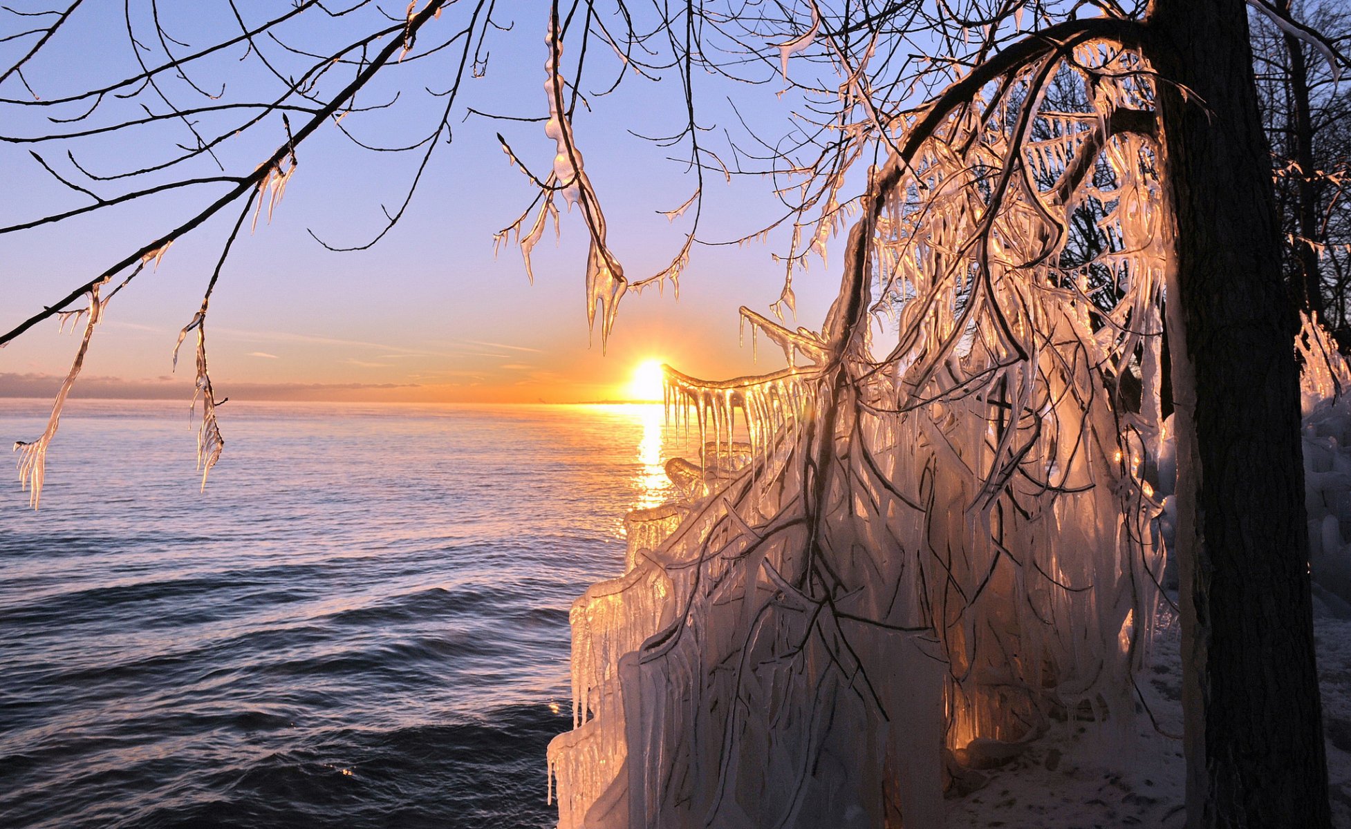 árbol hielo carámbanos mar sol