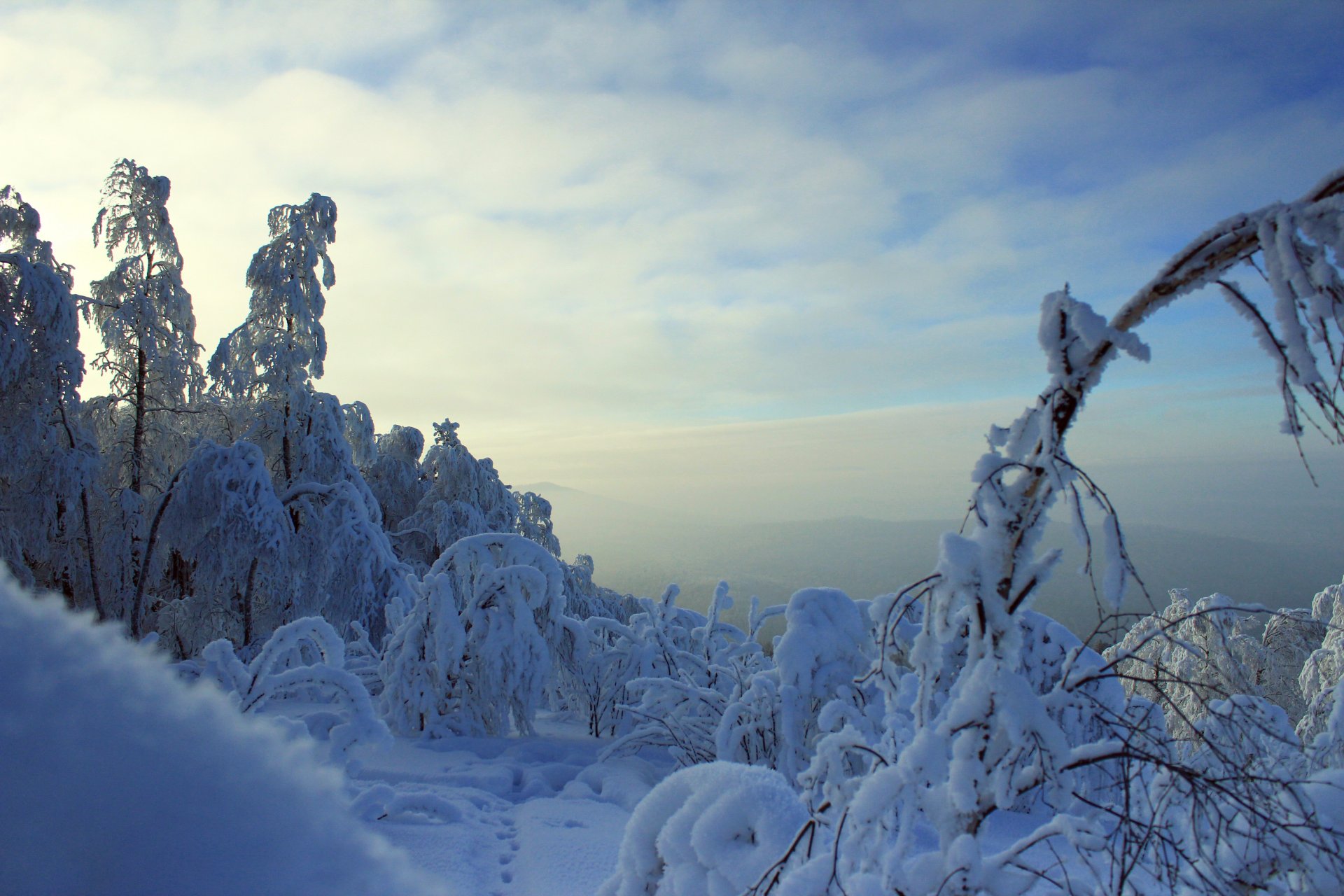 wald winter äste im schnee frost berge