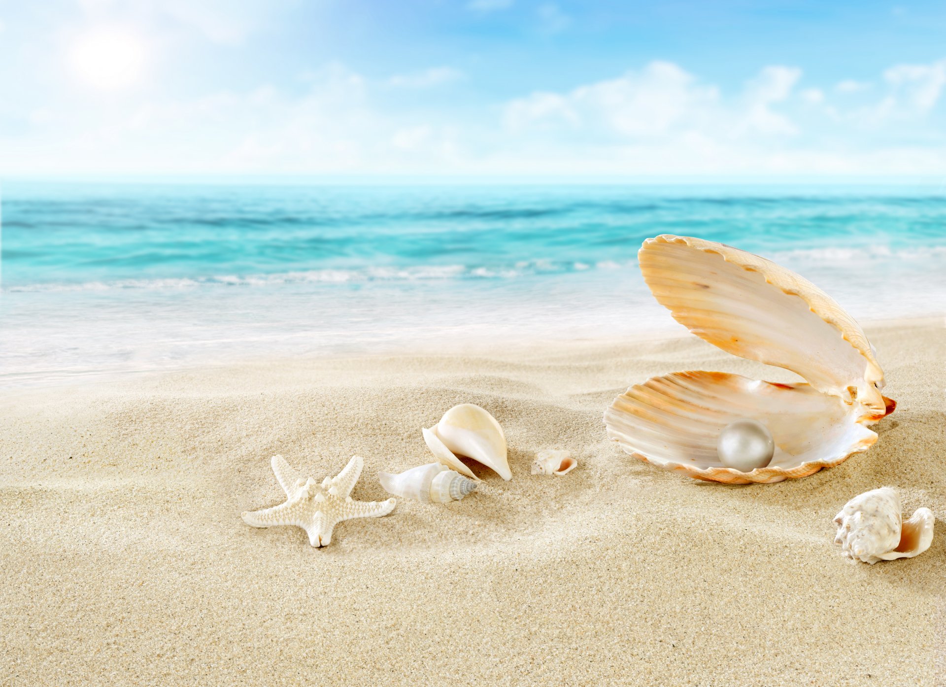 natur meer strand wolken sand muscheln seestern perlen