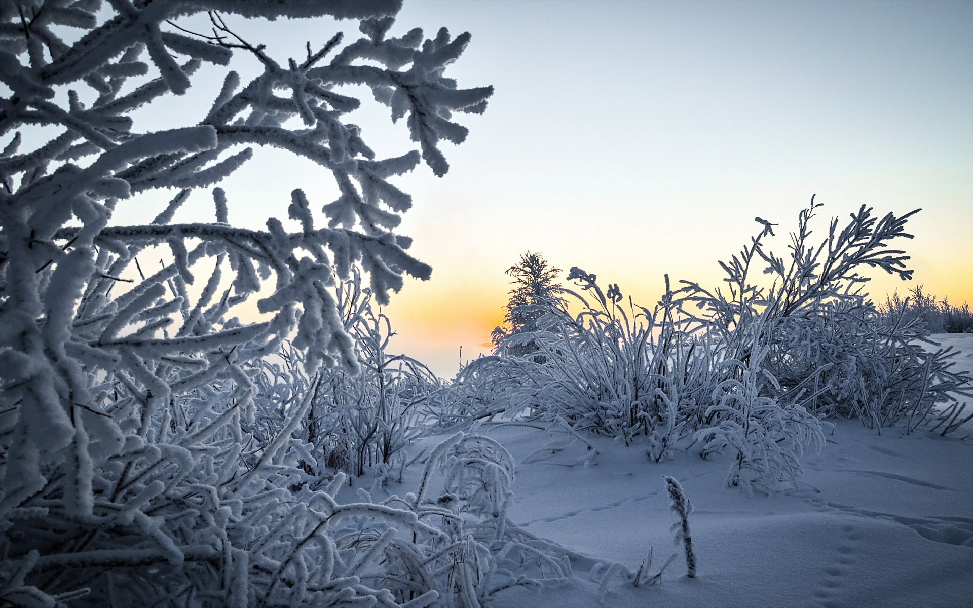 winter schnee landschaft