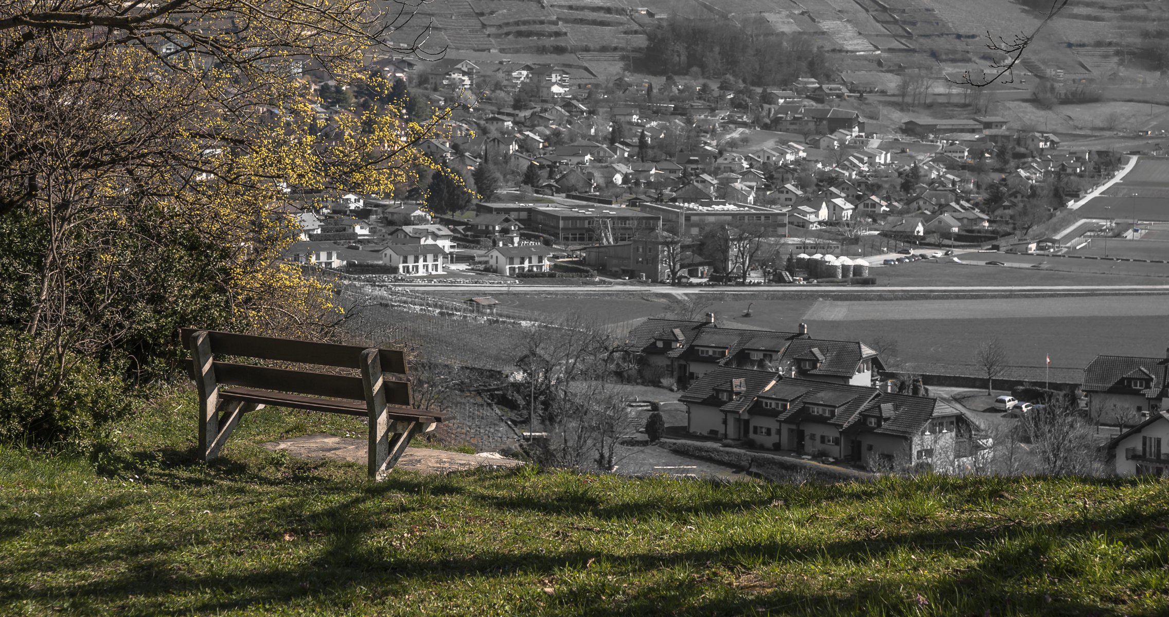 bench town views landscape