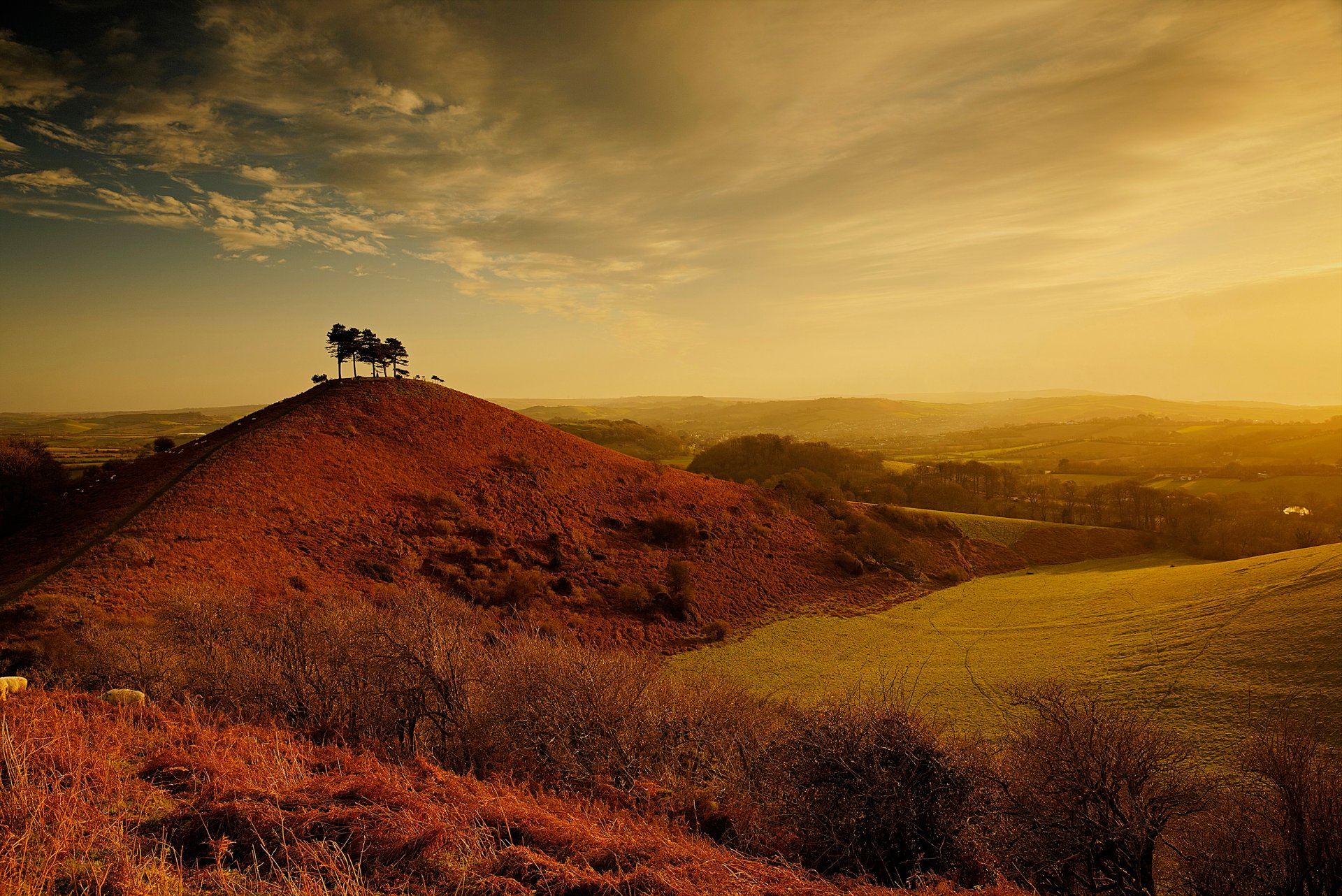 hill landscape clouds tree