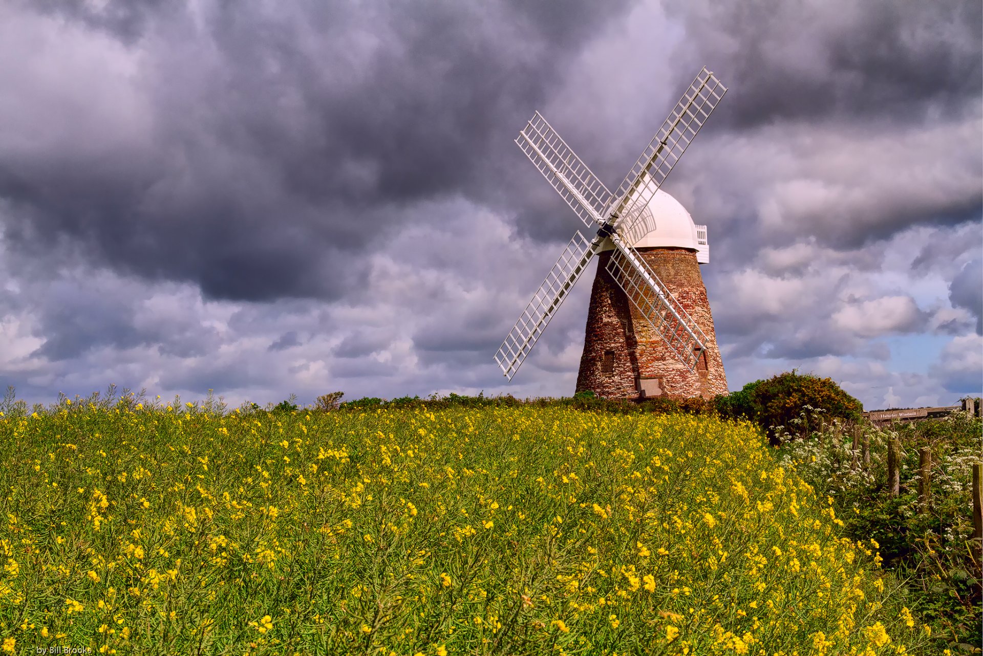 naturaleza molino de viento campo flores colza cielo nubes nubes