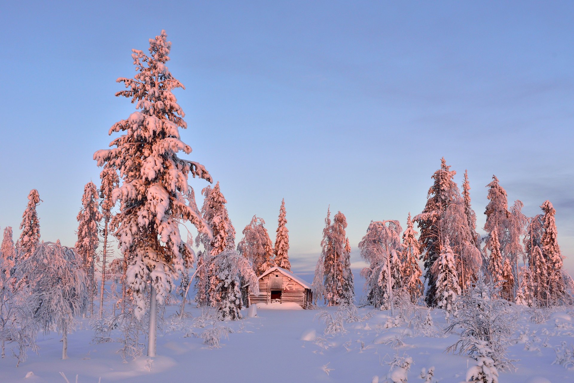 arbres neige grange hiver éclairage