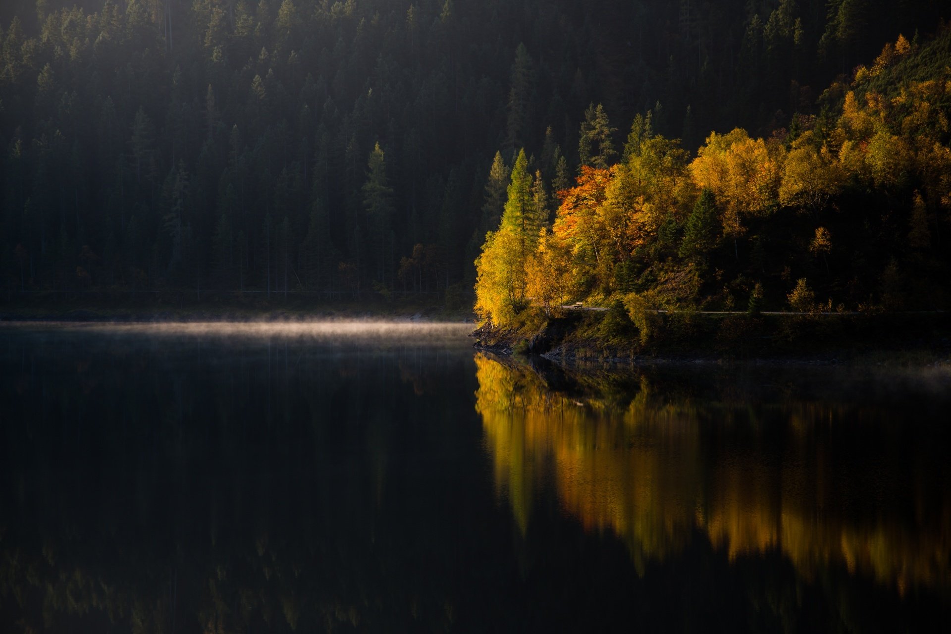 lago foresta alberi mattina autunno