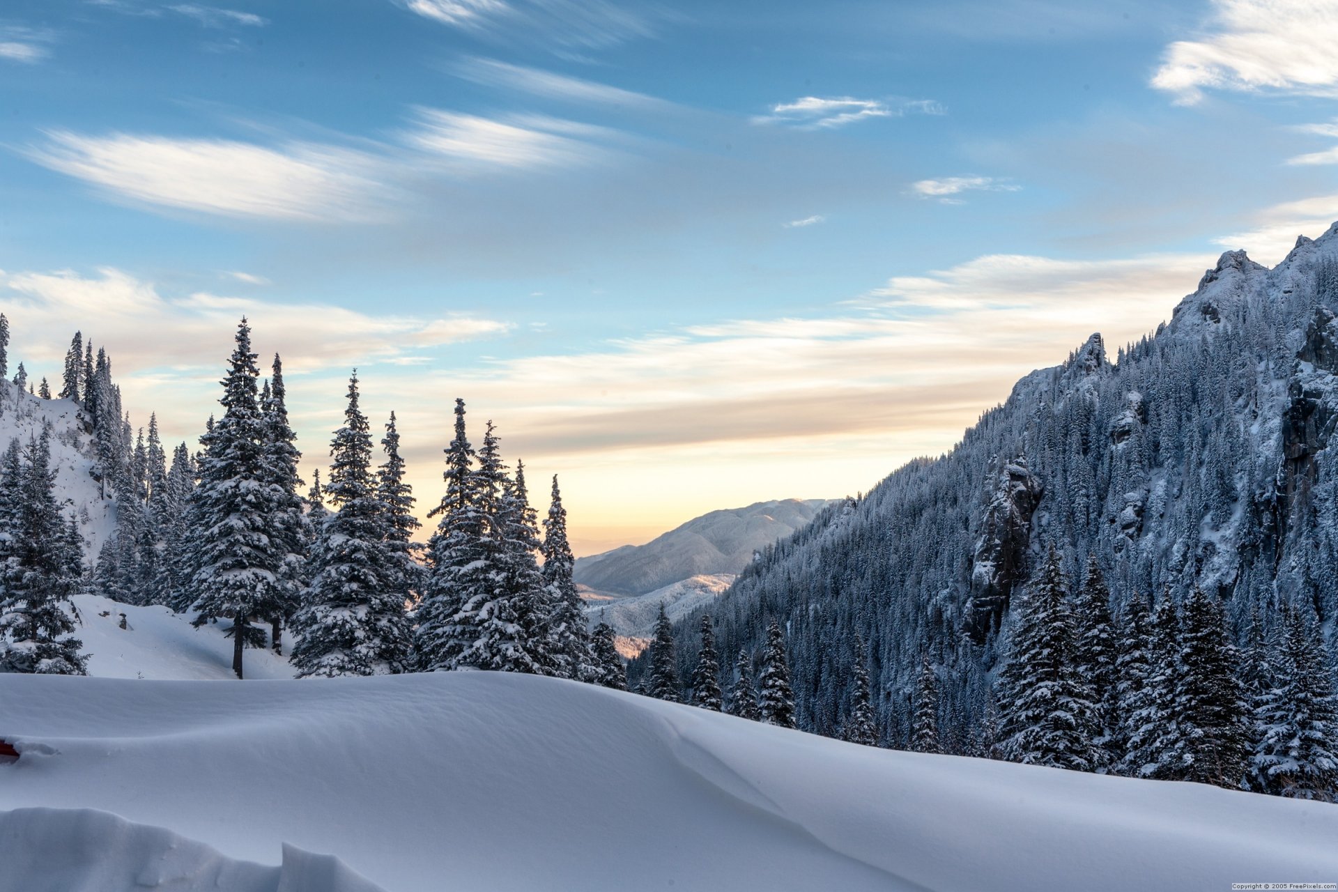 hiver forêt collines neige