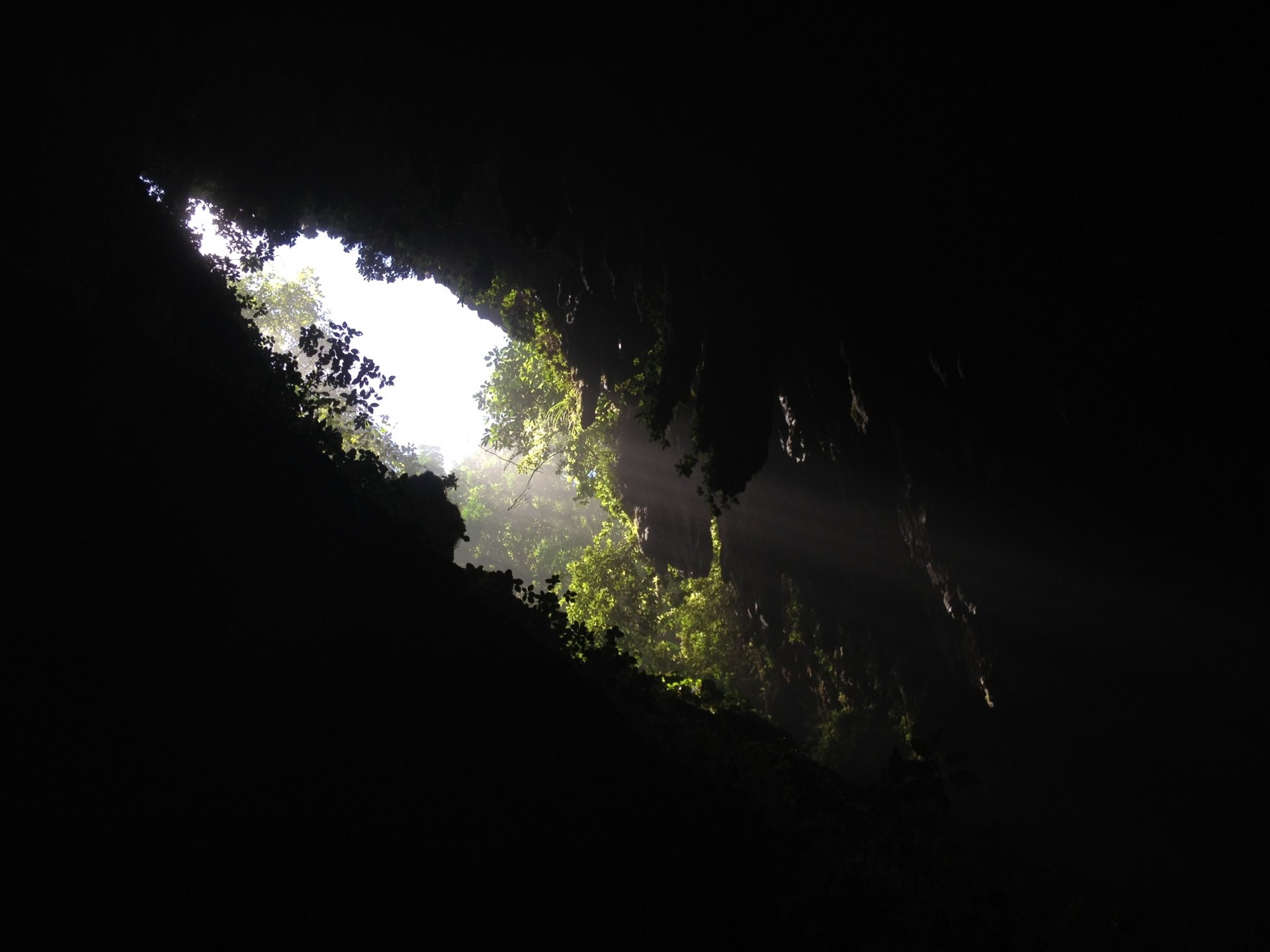 sombre gorge grotte trou verdure