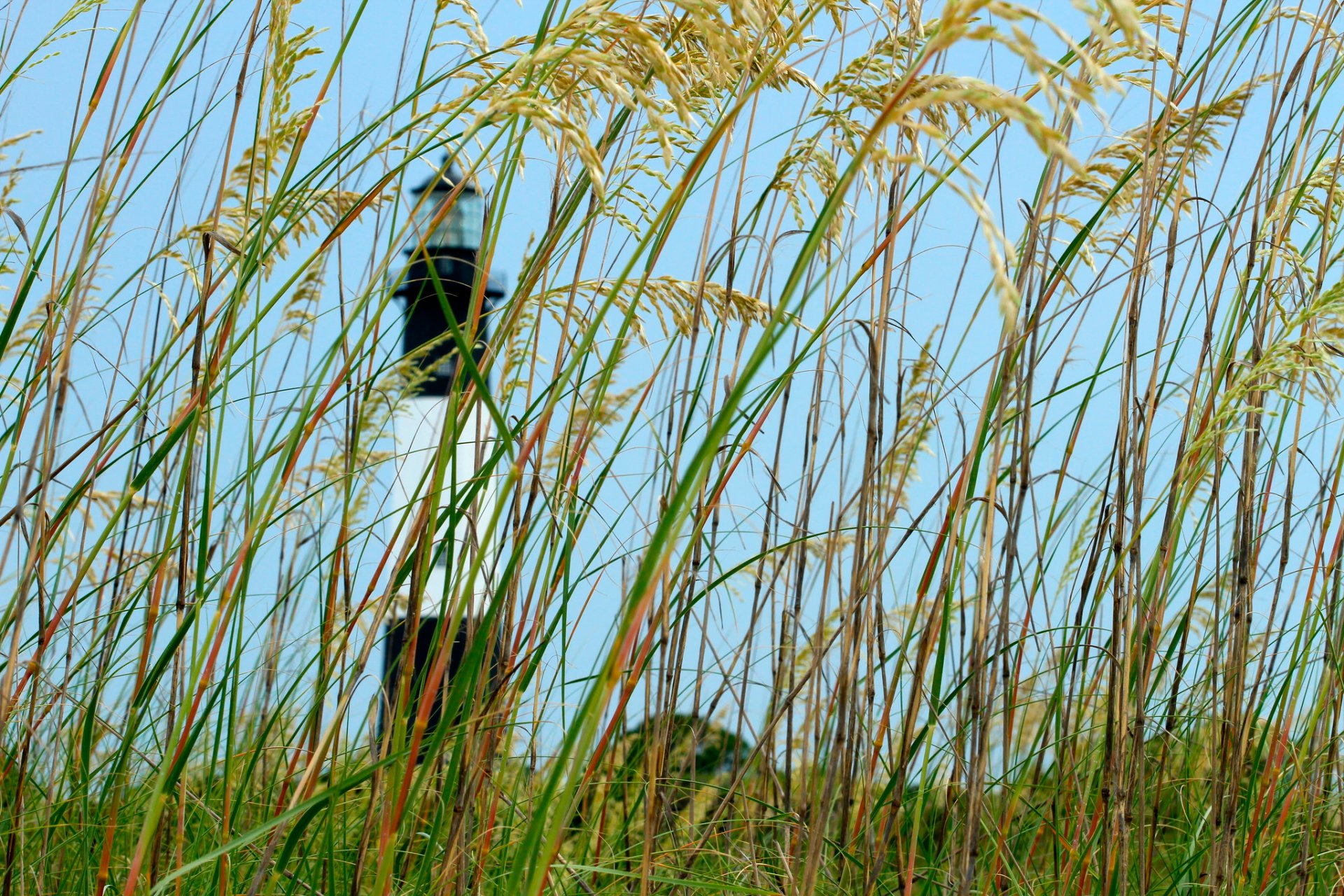 hierba cielo faro