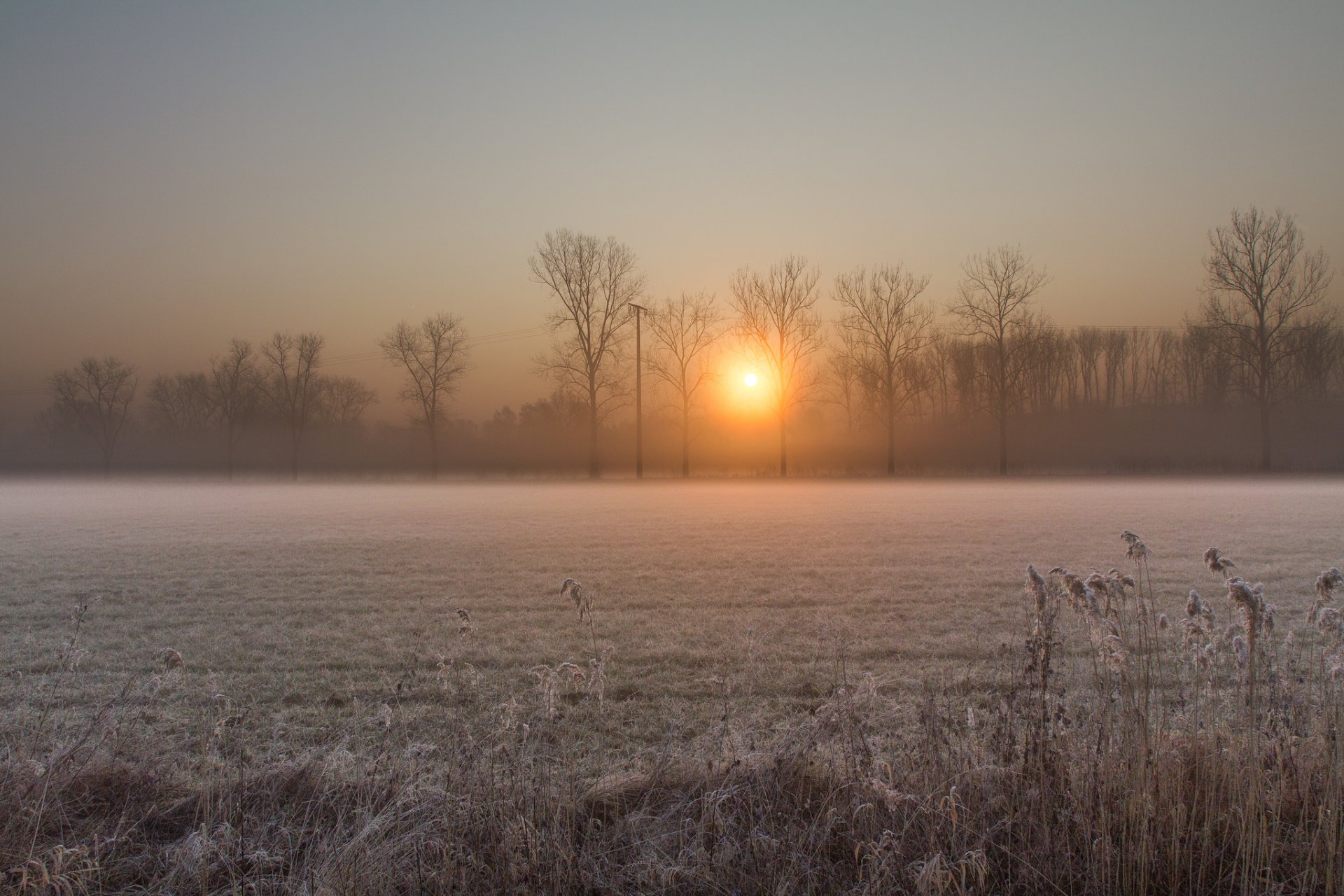 mattina alba sole alba inverno gelo campo alberi