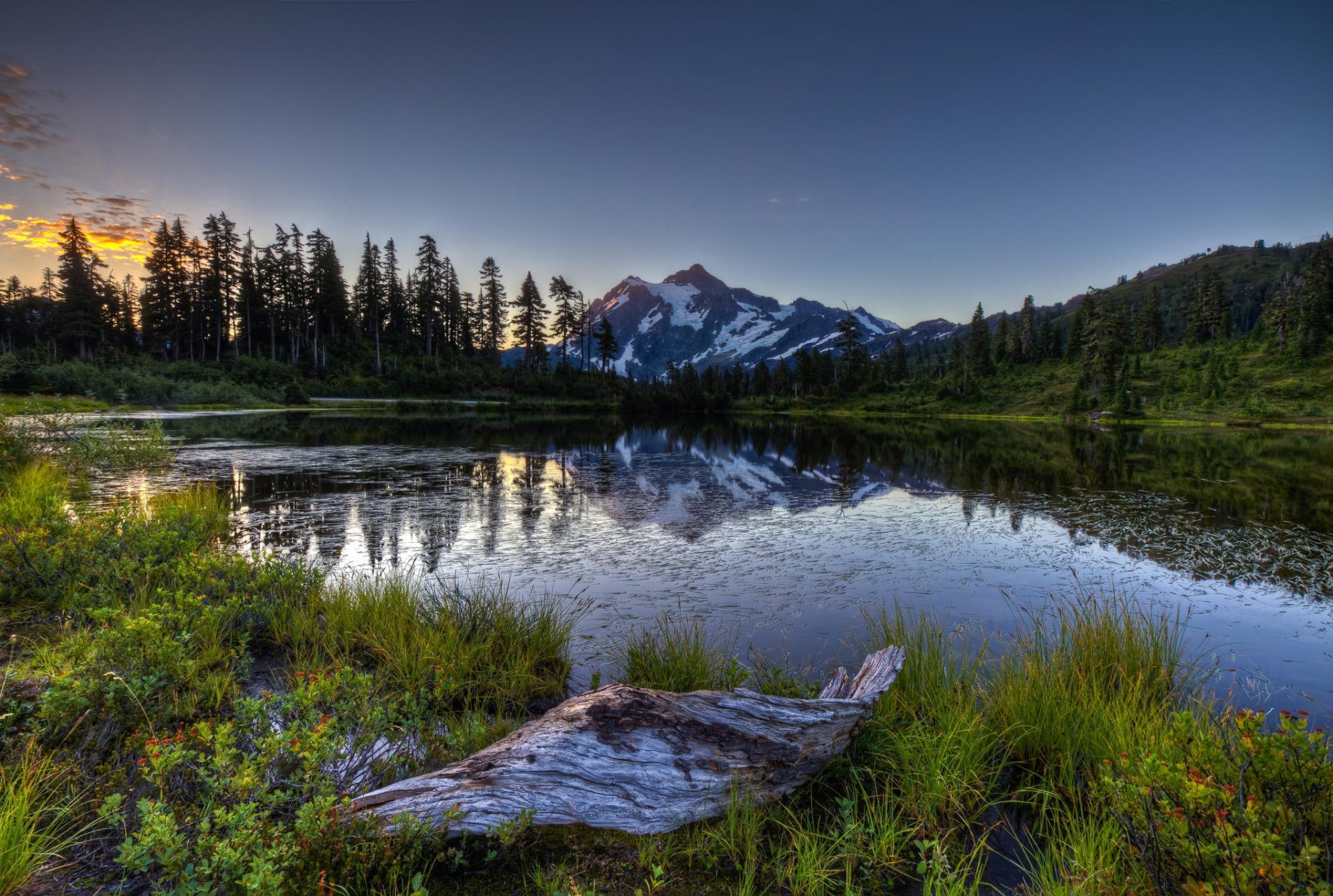 lake mountain forest dawn nature