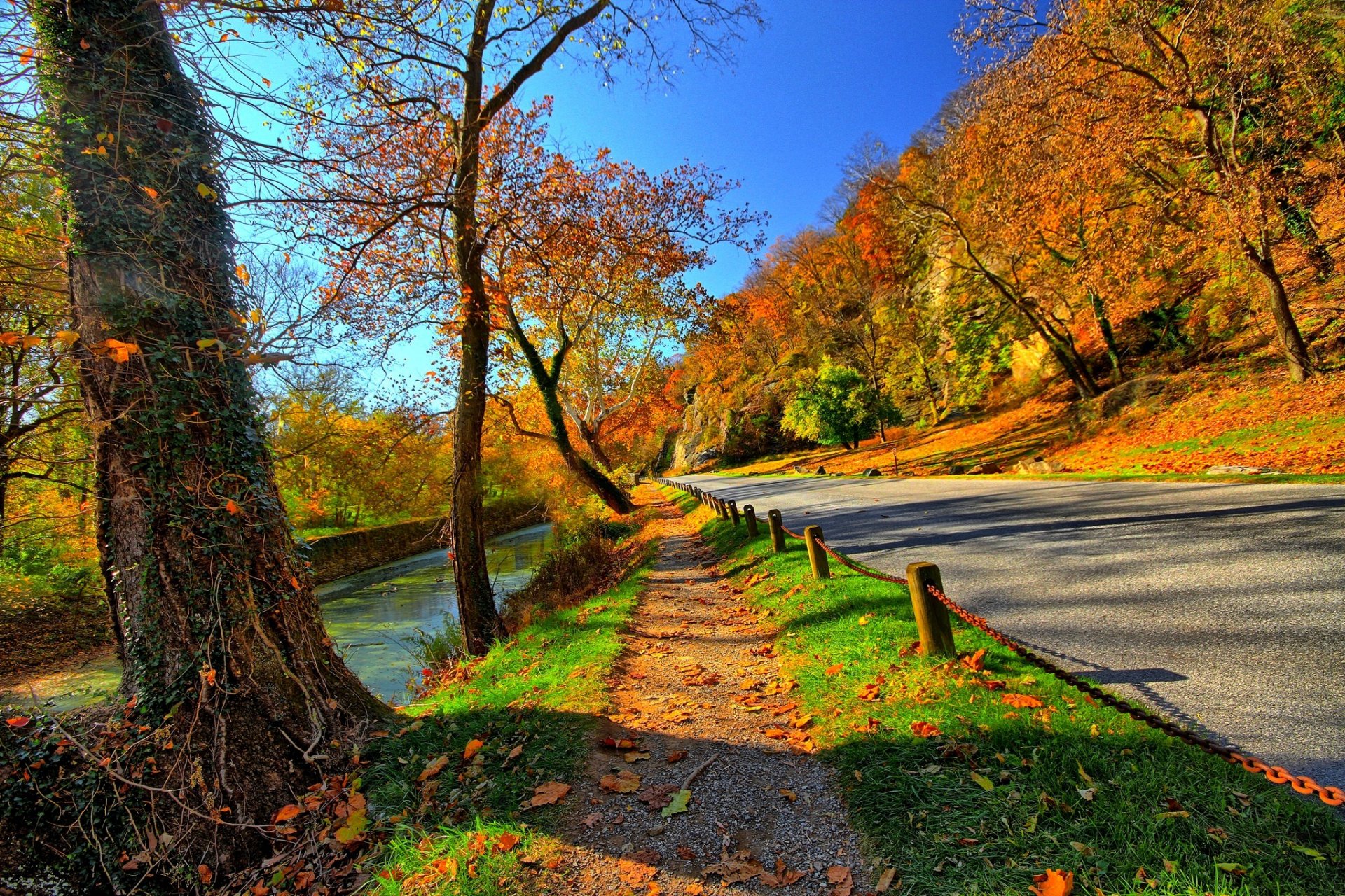 natura montagne cielo acqua foresta parco alberi foglie colorato strada autunno caduta colori passeggiata