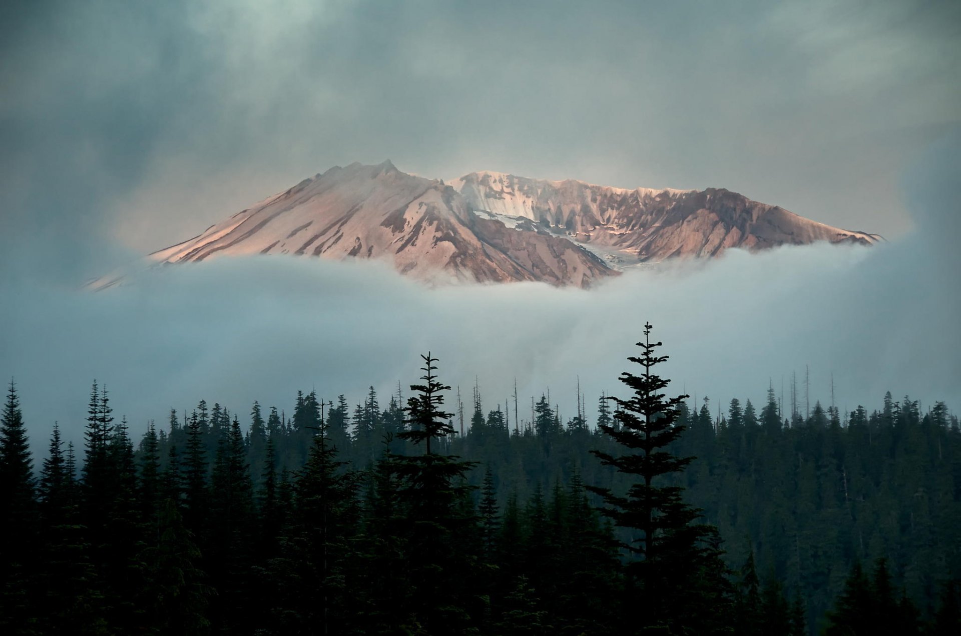 forest mountain snow tree cloud