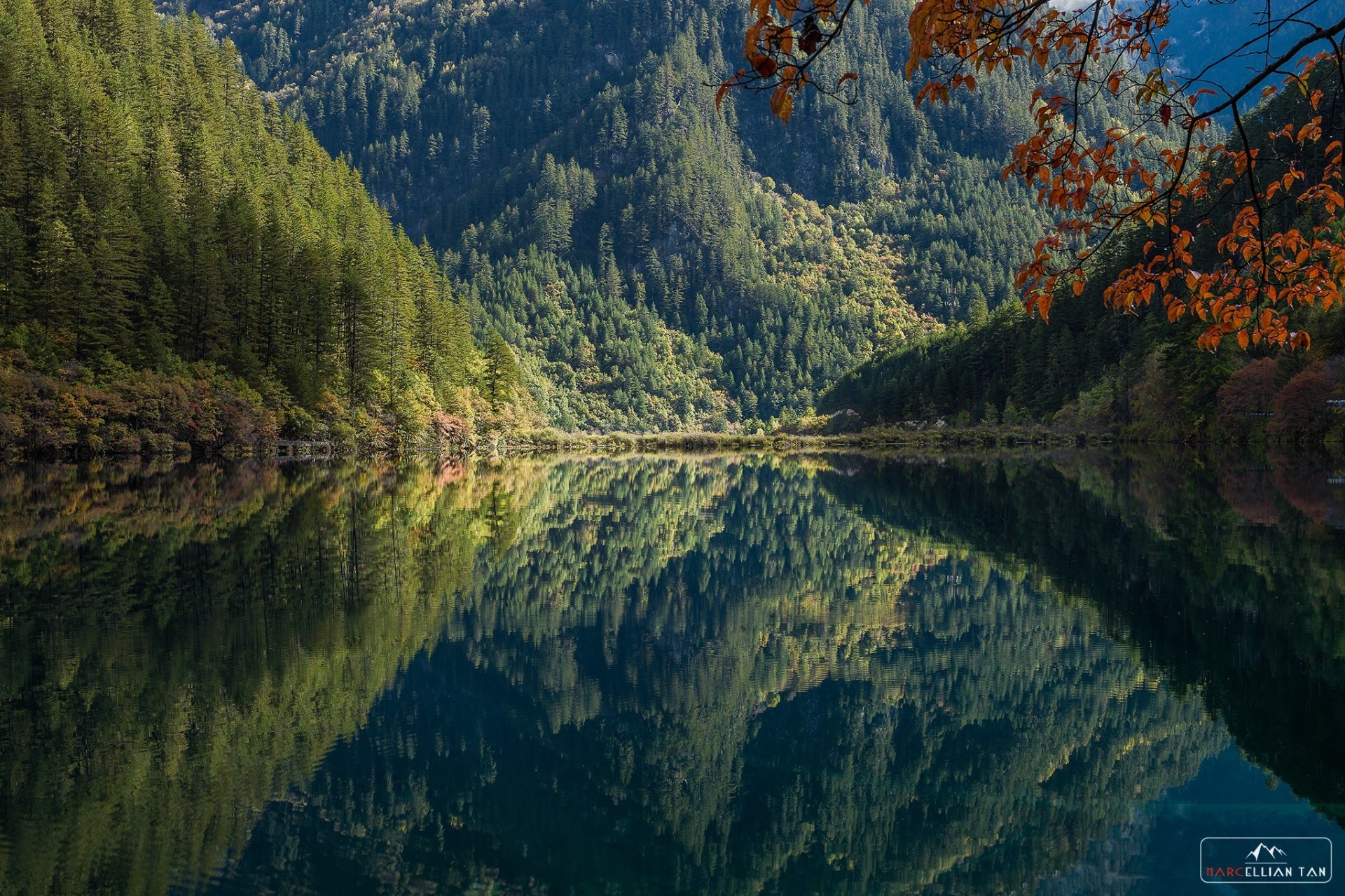 lake mountain forest tree morning reflection