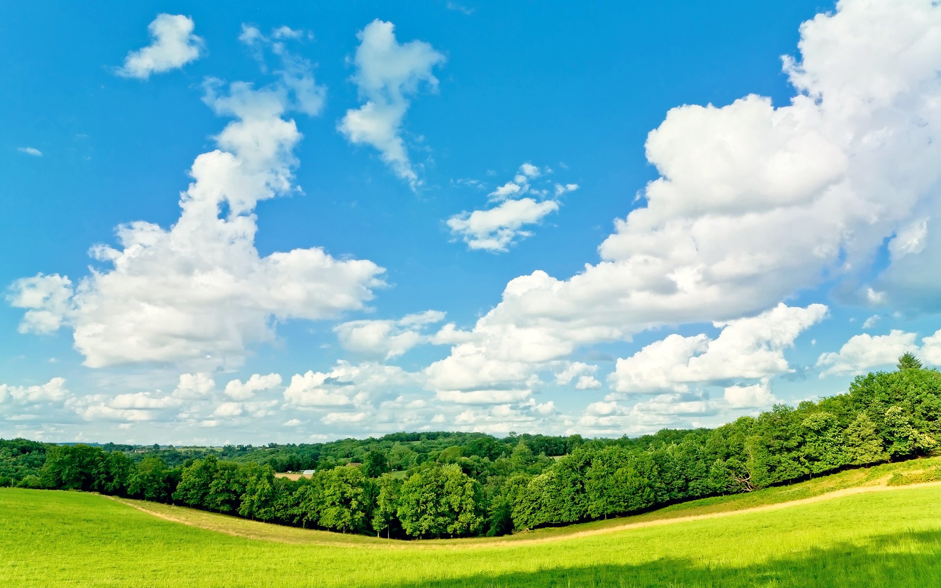 arbres herbe ciel nuages été ensoleillé