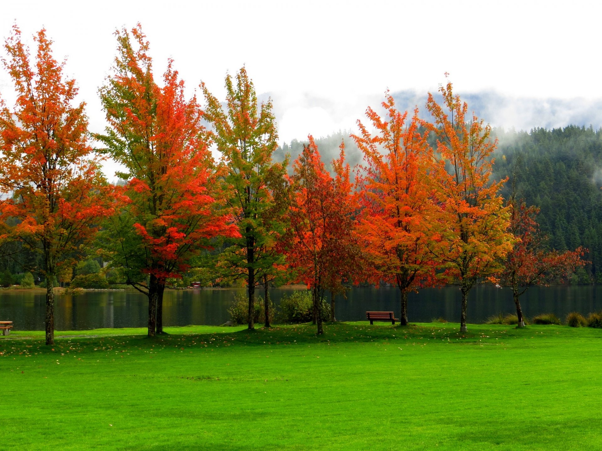 natur stand fluss wasser wald park bäume blätter bunt herbst herbst farben zu fuß berge himmel bank