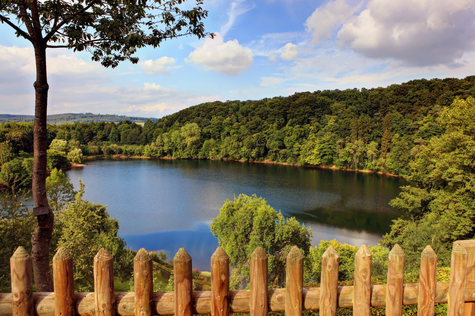 deutschland natur see wald bäume