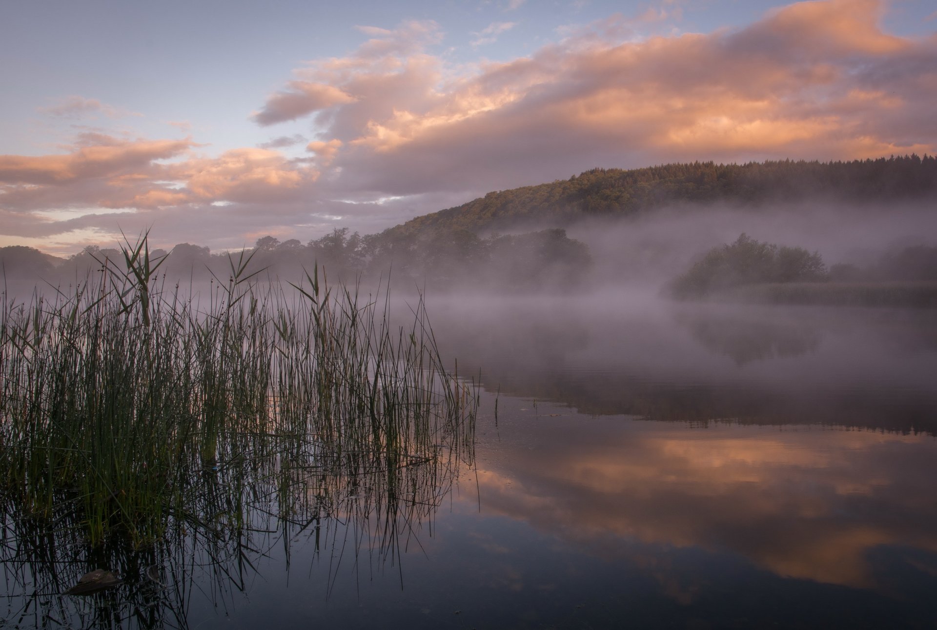 colline forêt lac brouillard matin