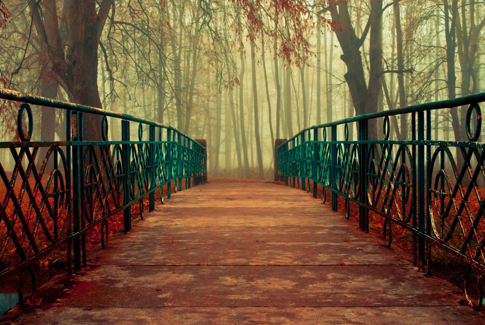 natura autunno alberi foglie ponte corrimano