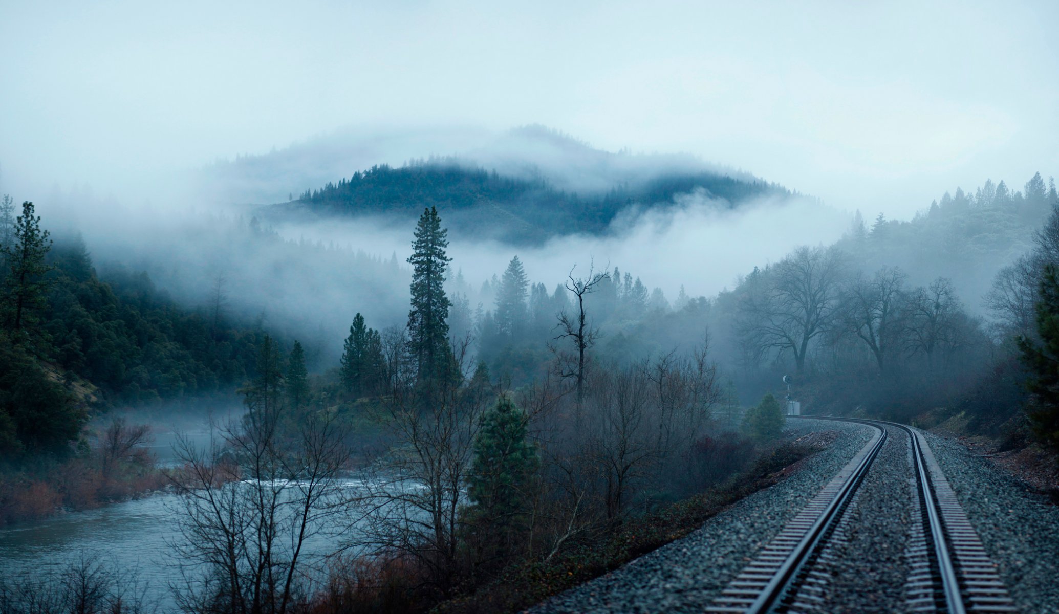 wald morgen nebel bahn