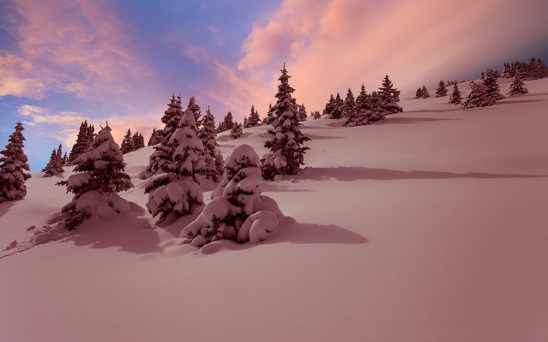 winter schnee sonnenuntergang landschaft