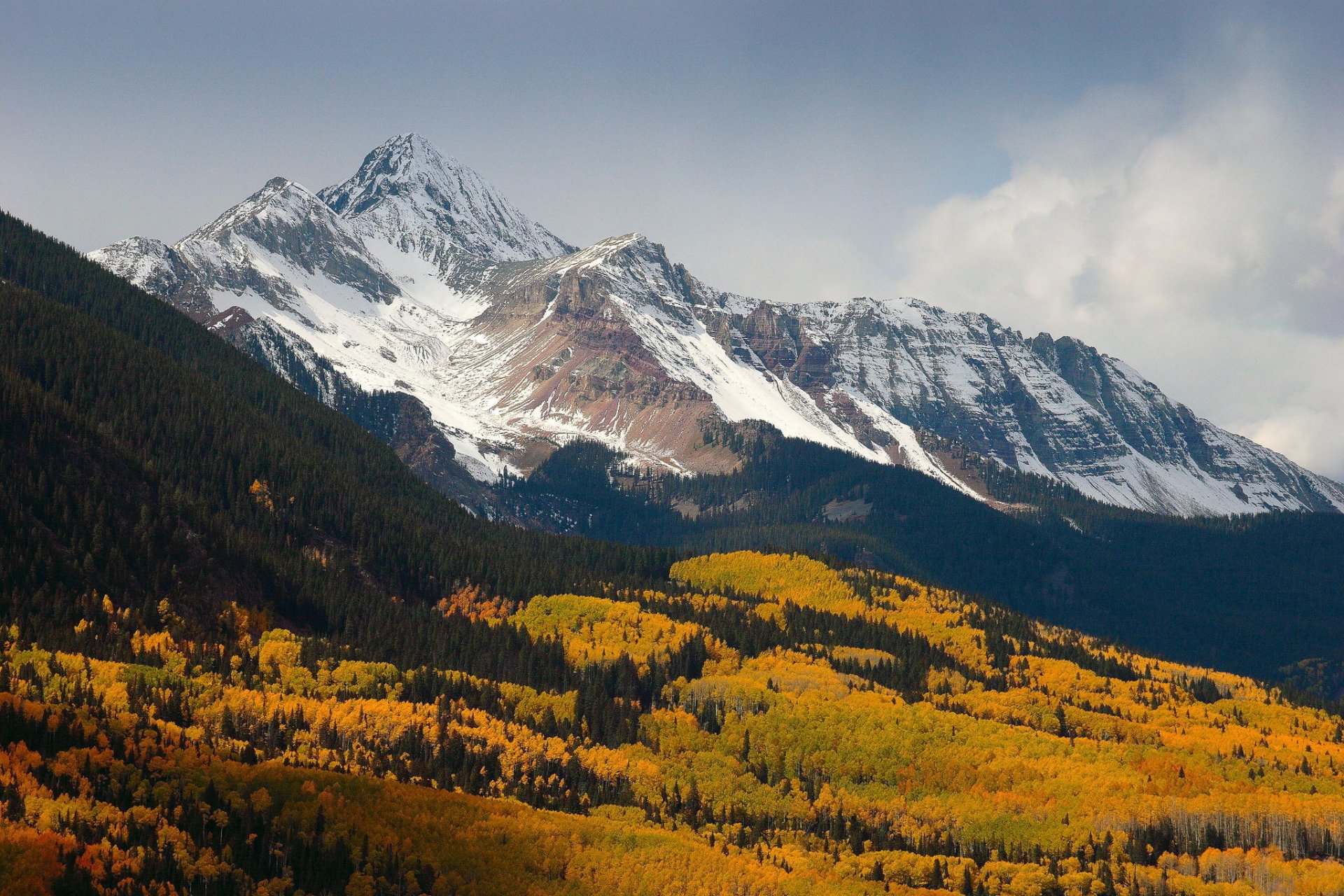 mountain tops snow forest tree nature