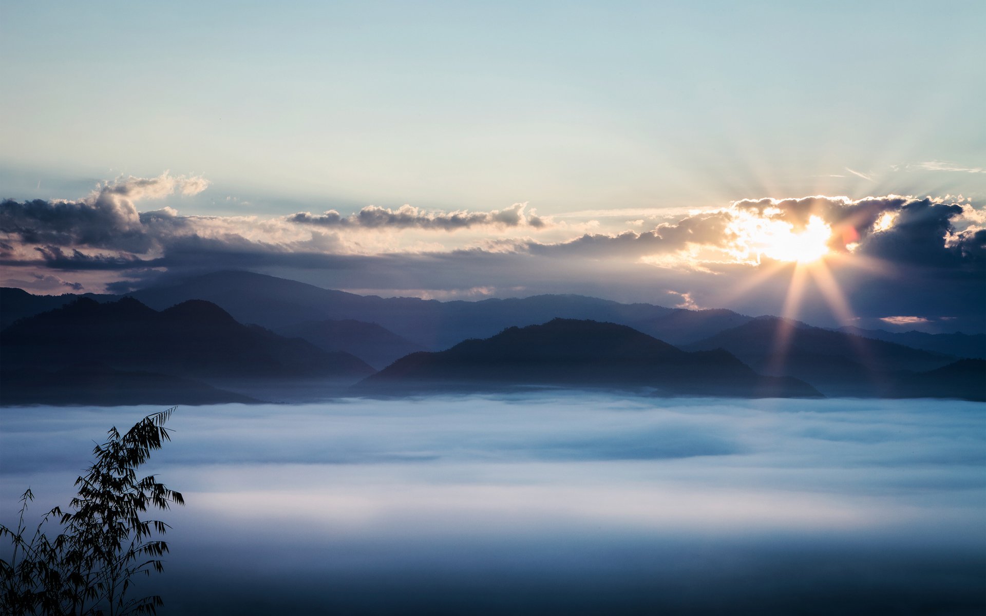 mountain clouds views sunset tree height