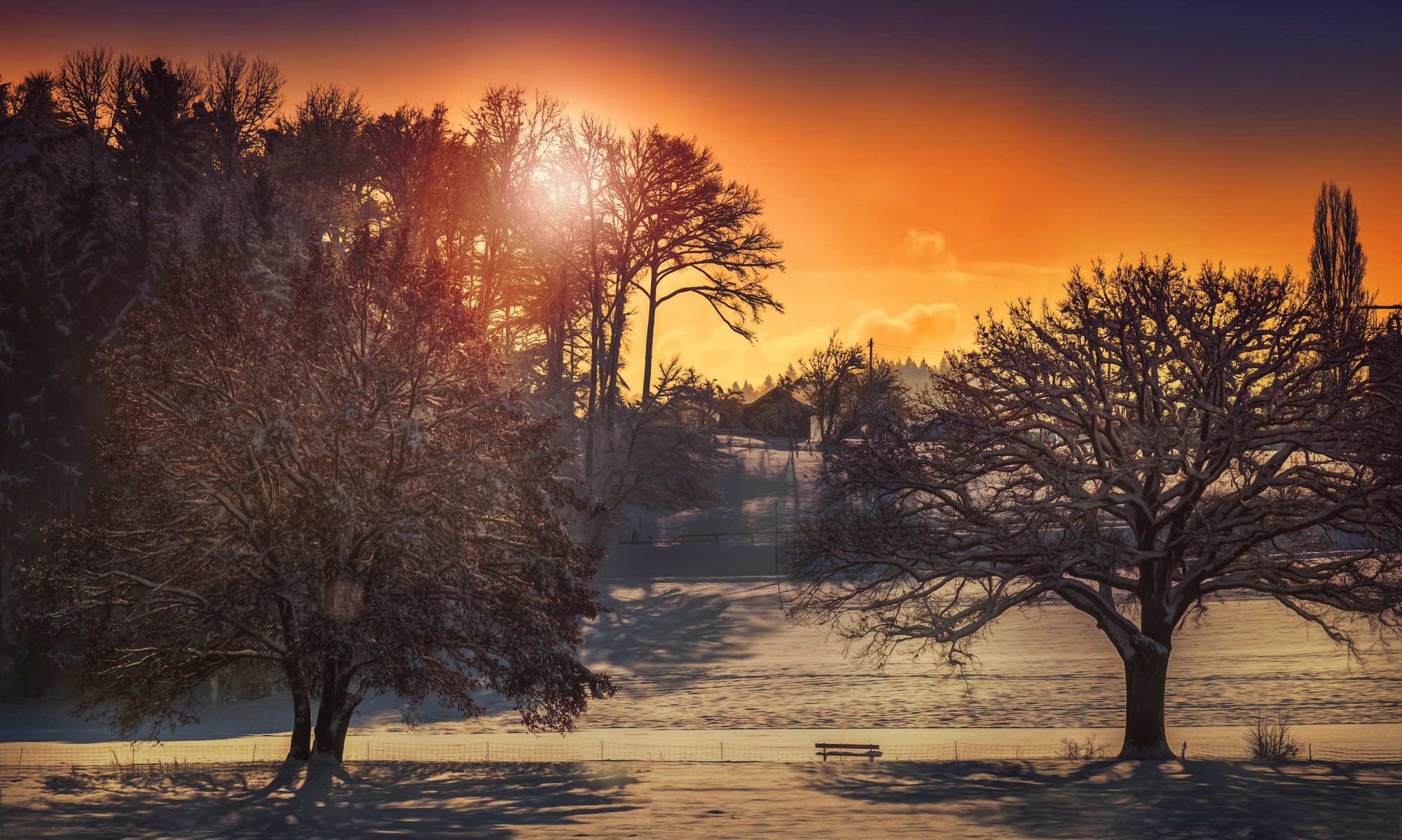 inverno sole case alberi lavorazione