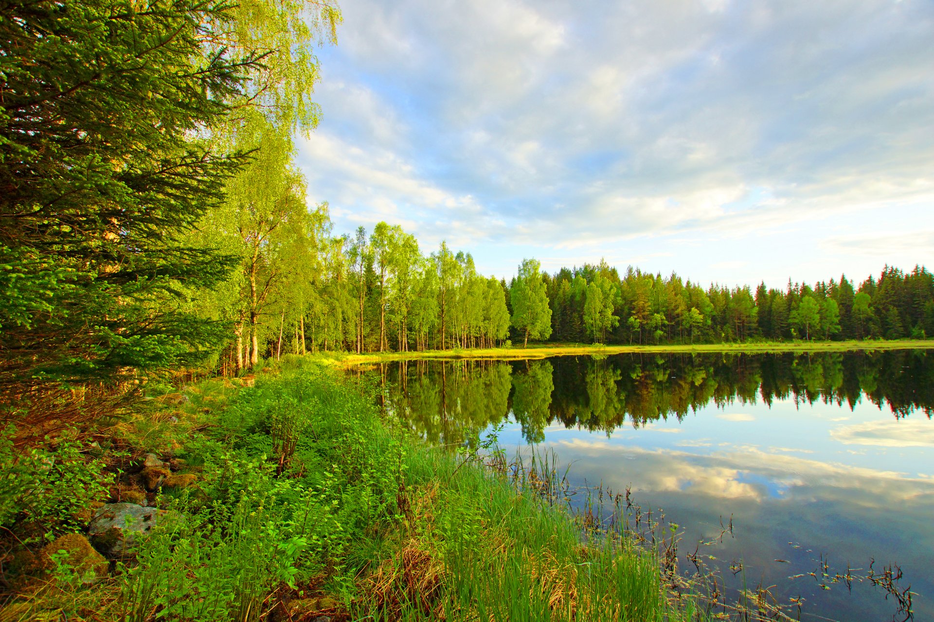 cielo nuvole foresta alberi fiume stagno lago