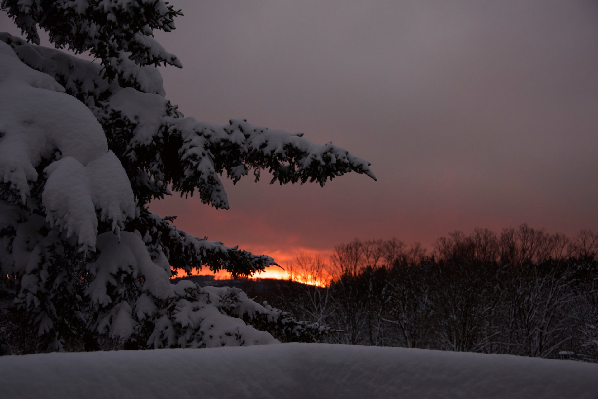 ciel soir coucher de soleil hiver arbres neige