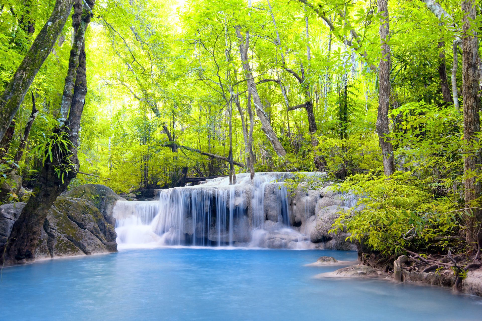 bosque cascada lago árboles