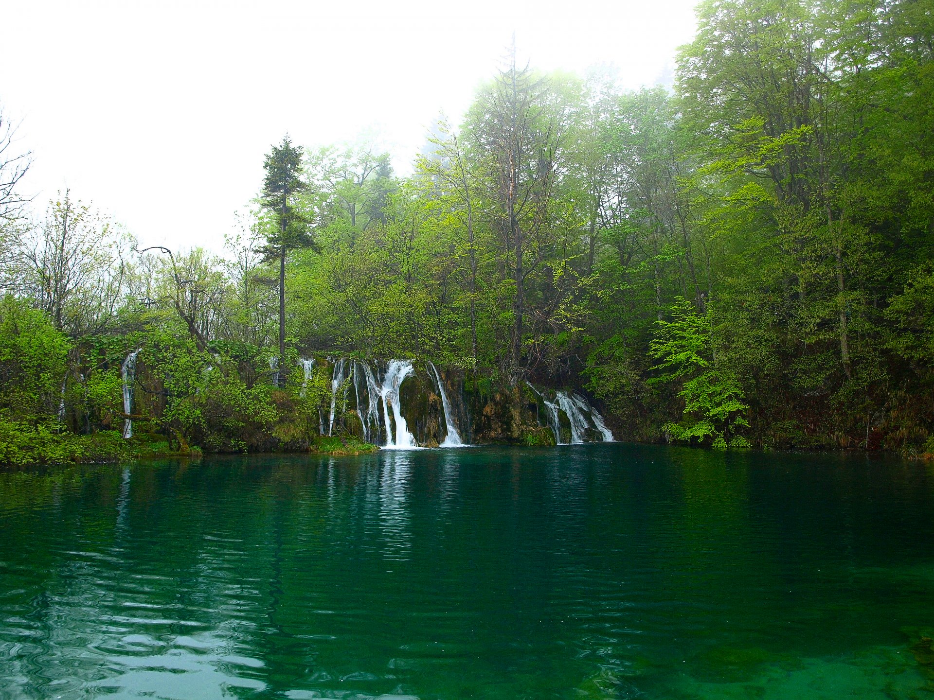 see wasserfall. wald bäume laub