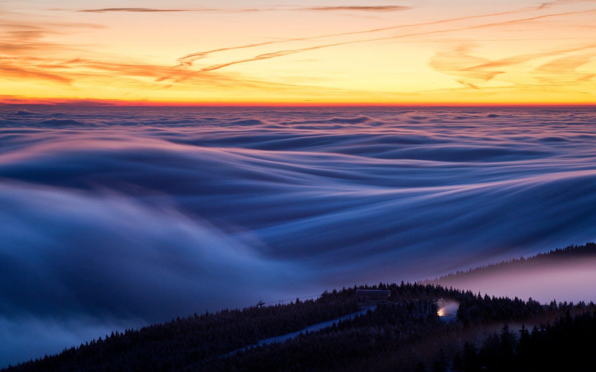 ciel horizon forêt éclairage