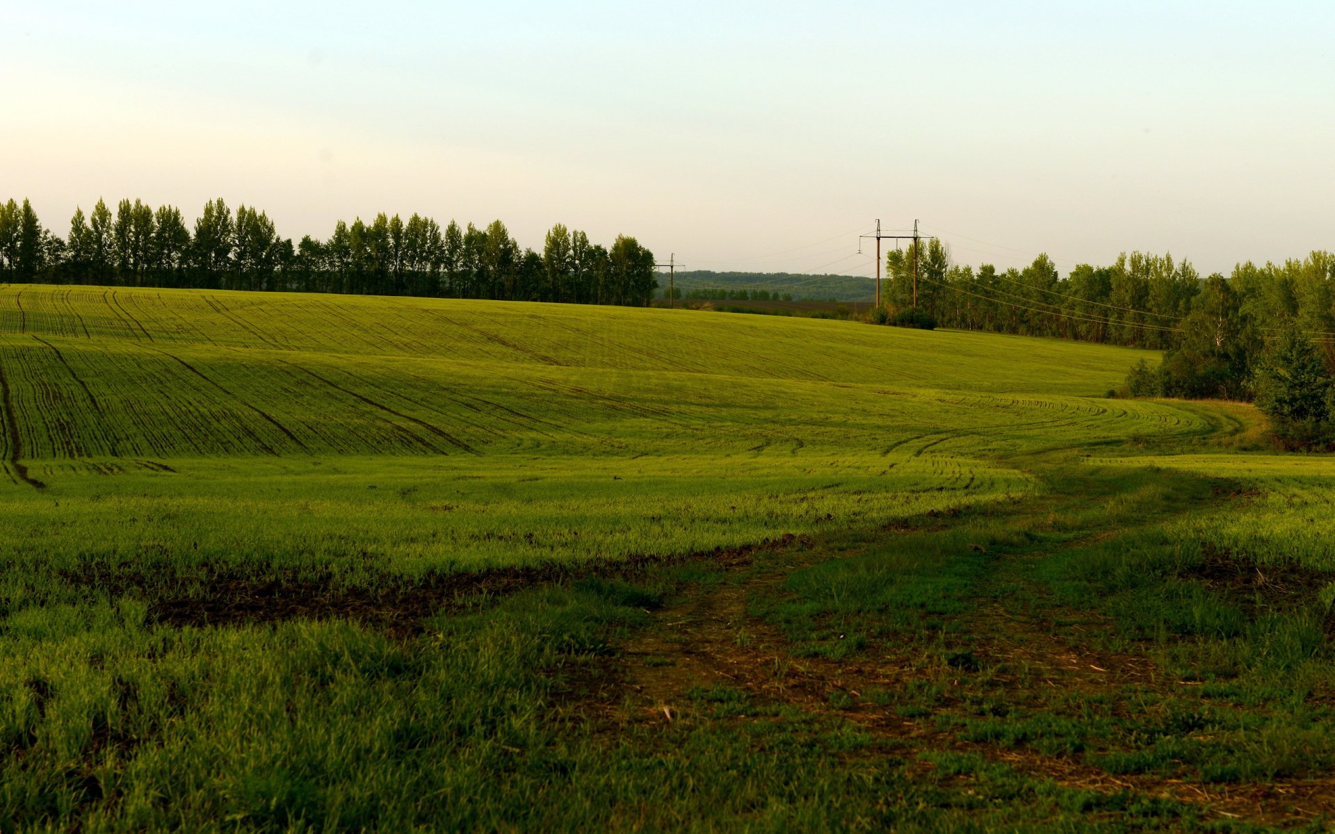 campo estate natura