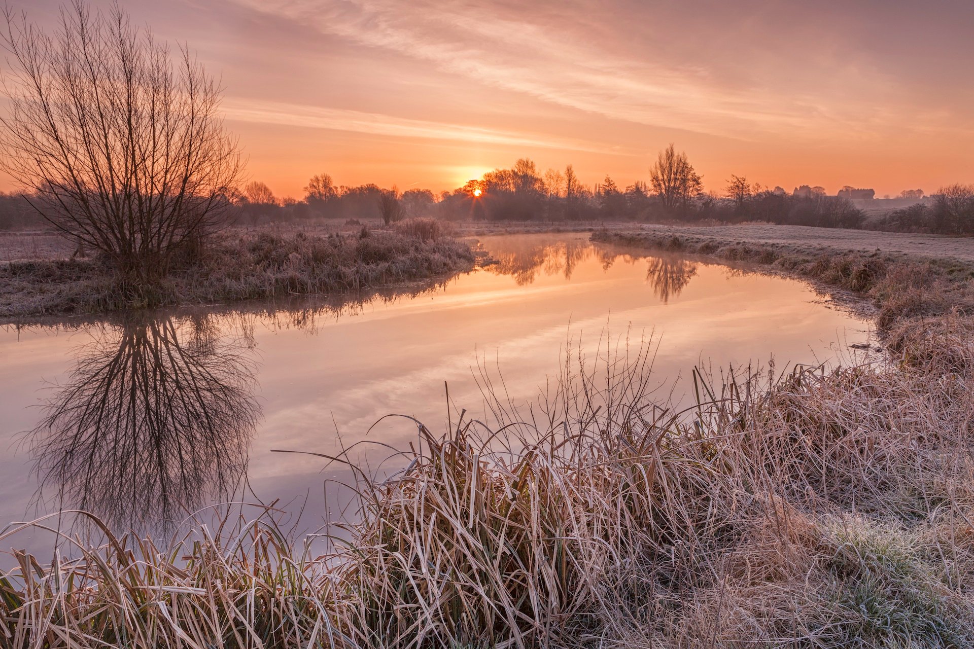 dawn river frost grass tree sun reflection