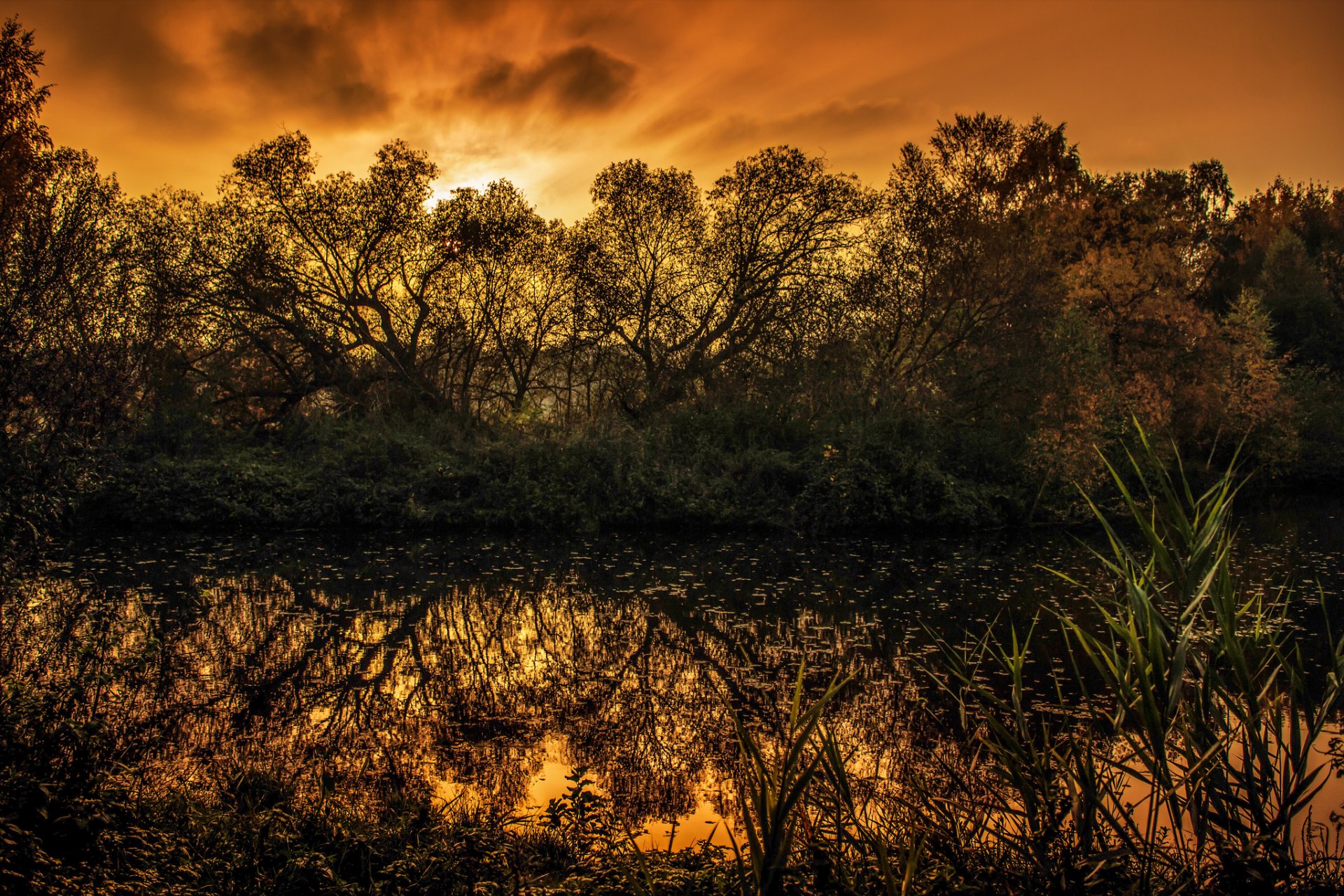 arbres lac marais coucher de soleil