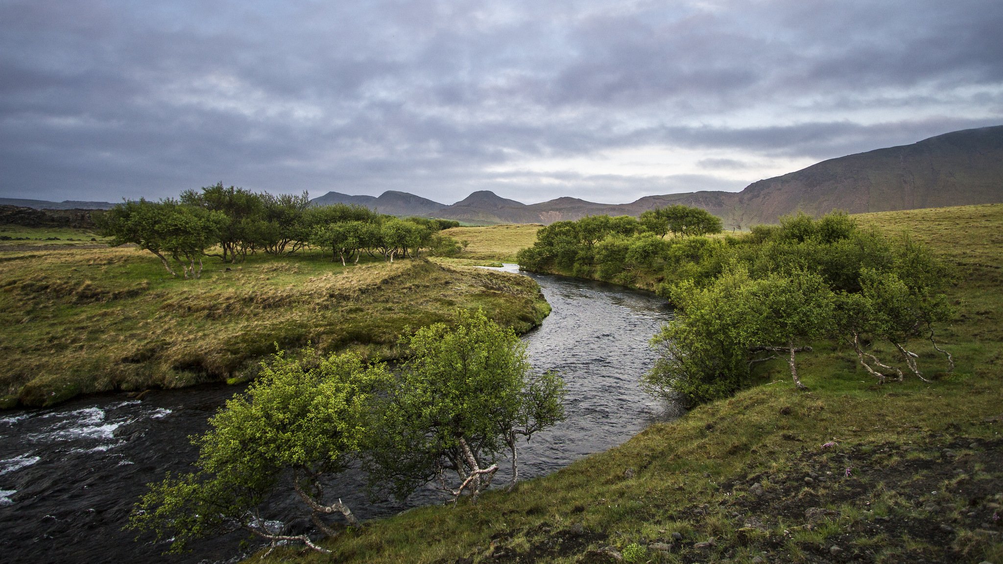 outh iceland næfurholt hills river tree summer