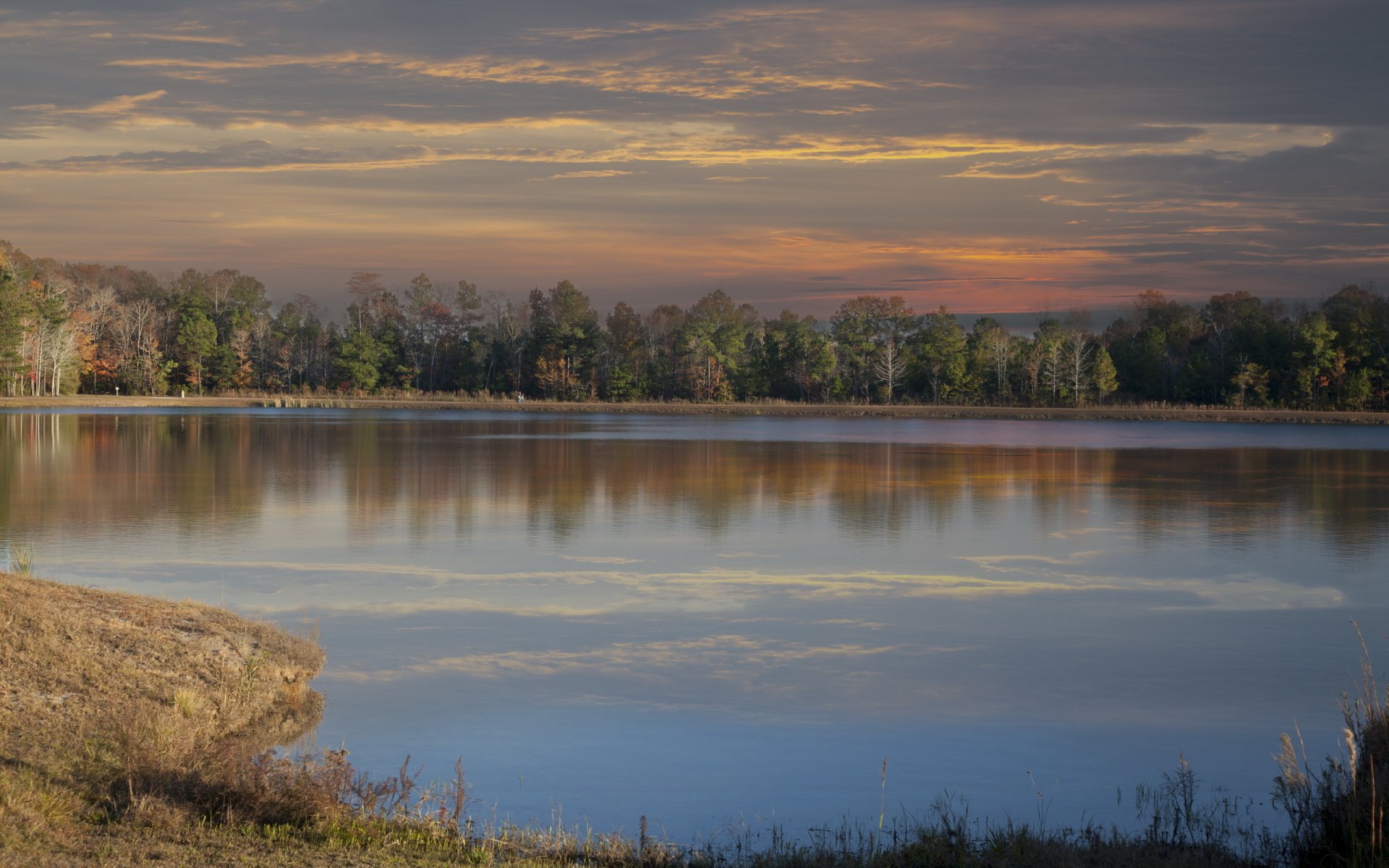 forêt lac soirée automne