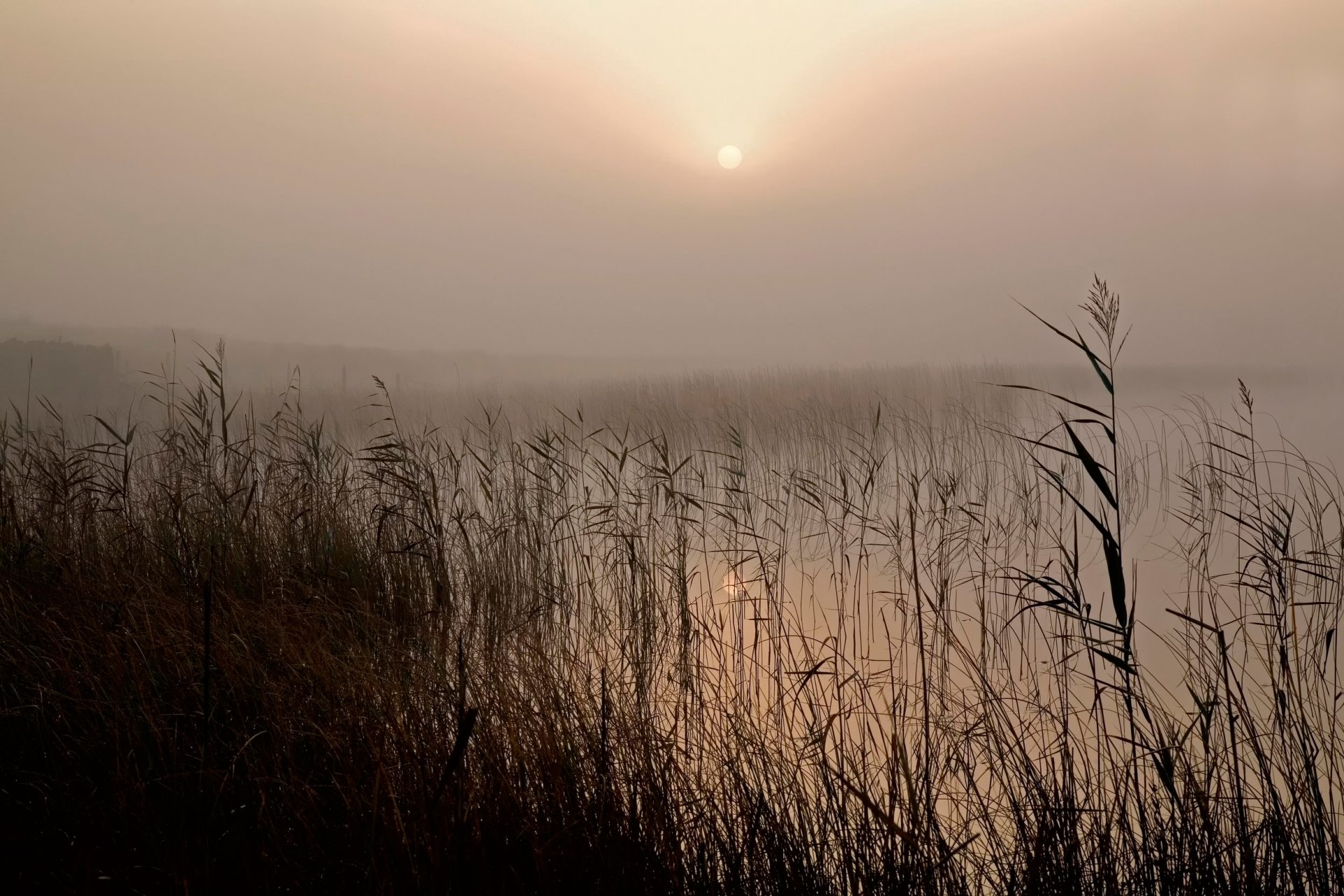 lago nebbia foschia