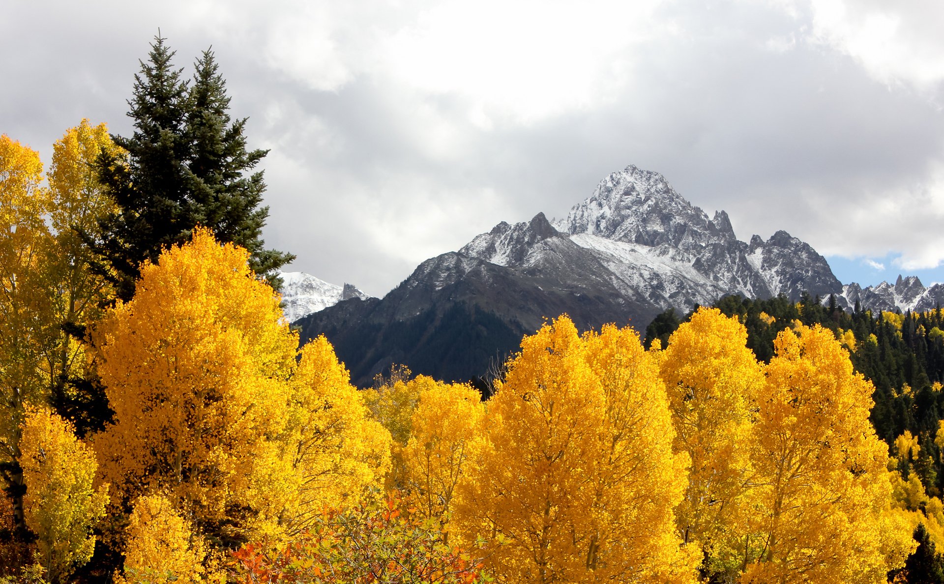 ciel nuages montagnes arbres feuilles automne