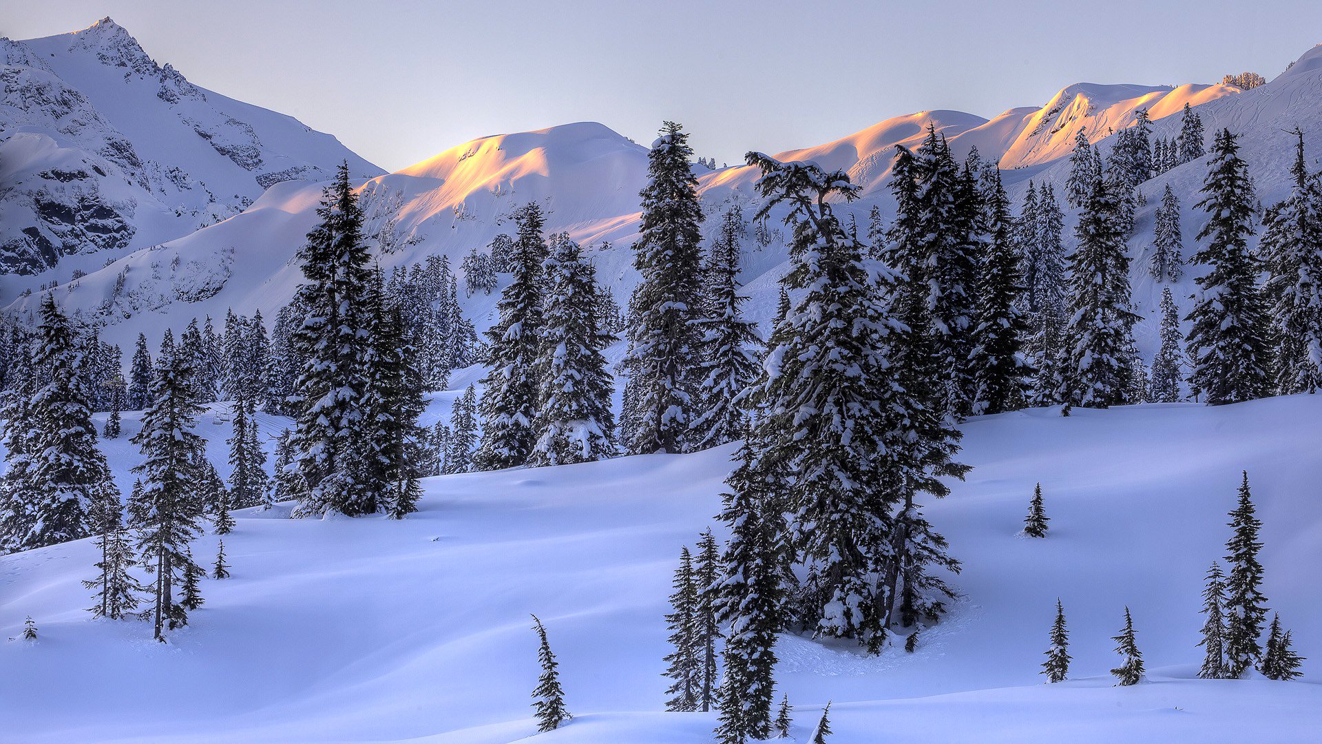 ciel montagnes hiver neige arbres sapin paysage pente