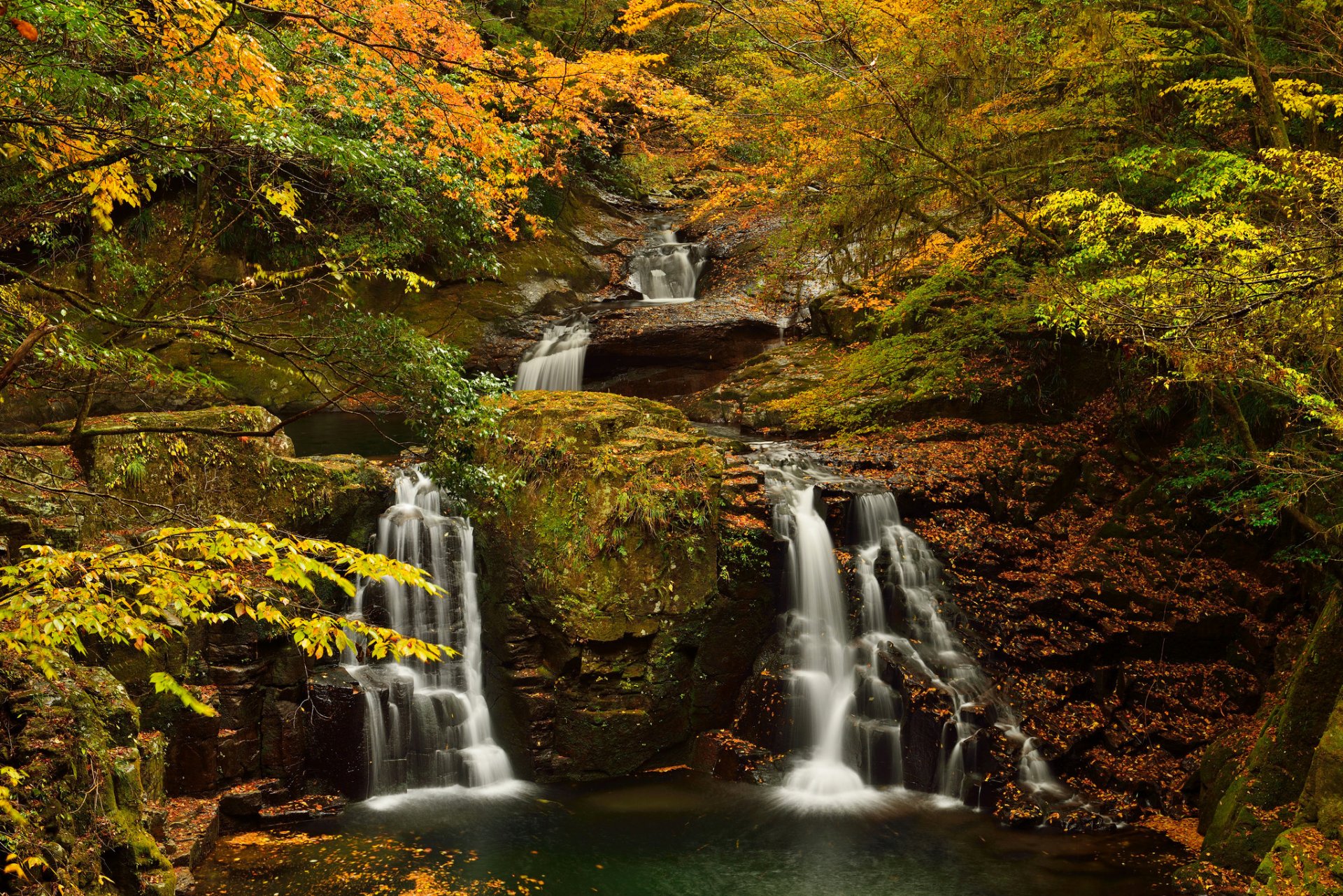 wald bäume felsen herbst bach bach wasserfall