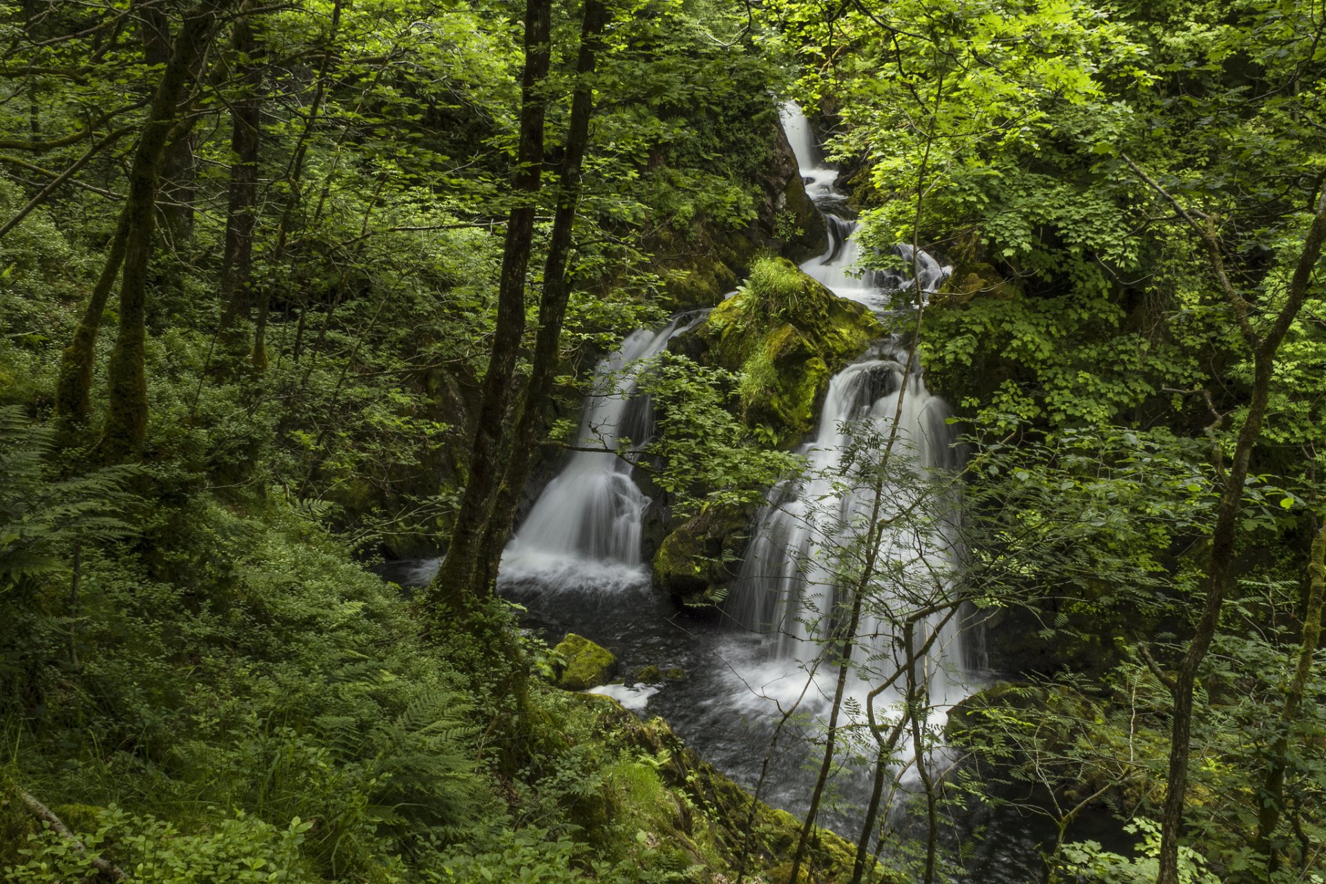 colwith force rivière brathay lake district angleterre cascade forêt rivière