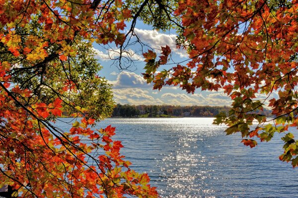 Голубое озеро с желтыми осенними листьями