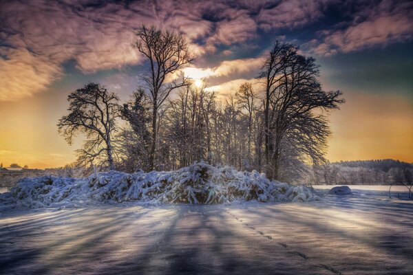 Sonnenlicht im verschneiten Wald