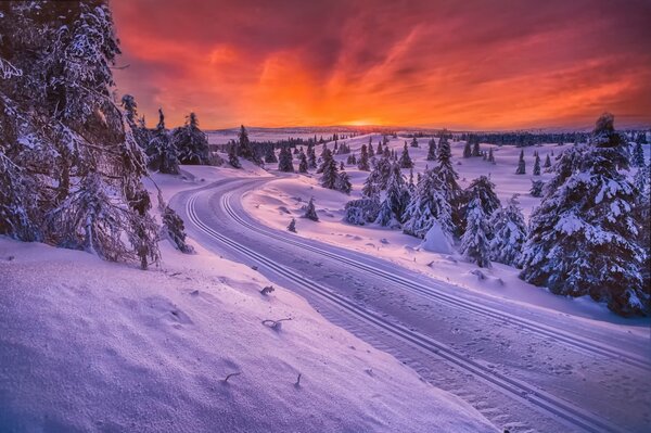 Der schöne Winter ist Norwegen, die Straße ist ein Rodelweg