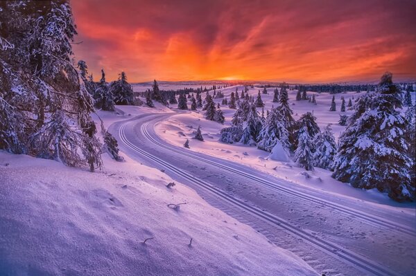 Bellissimo inverno è la Norvegia, la strada è una pista da slittino